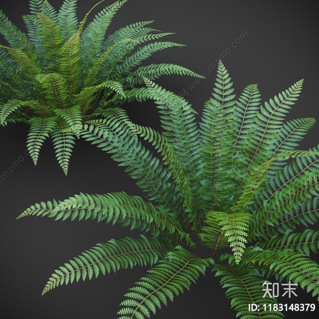 其他绿植3D模型下载【ID:1183148379】