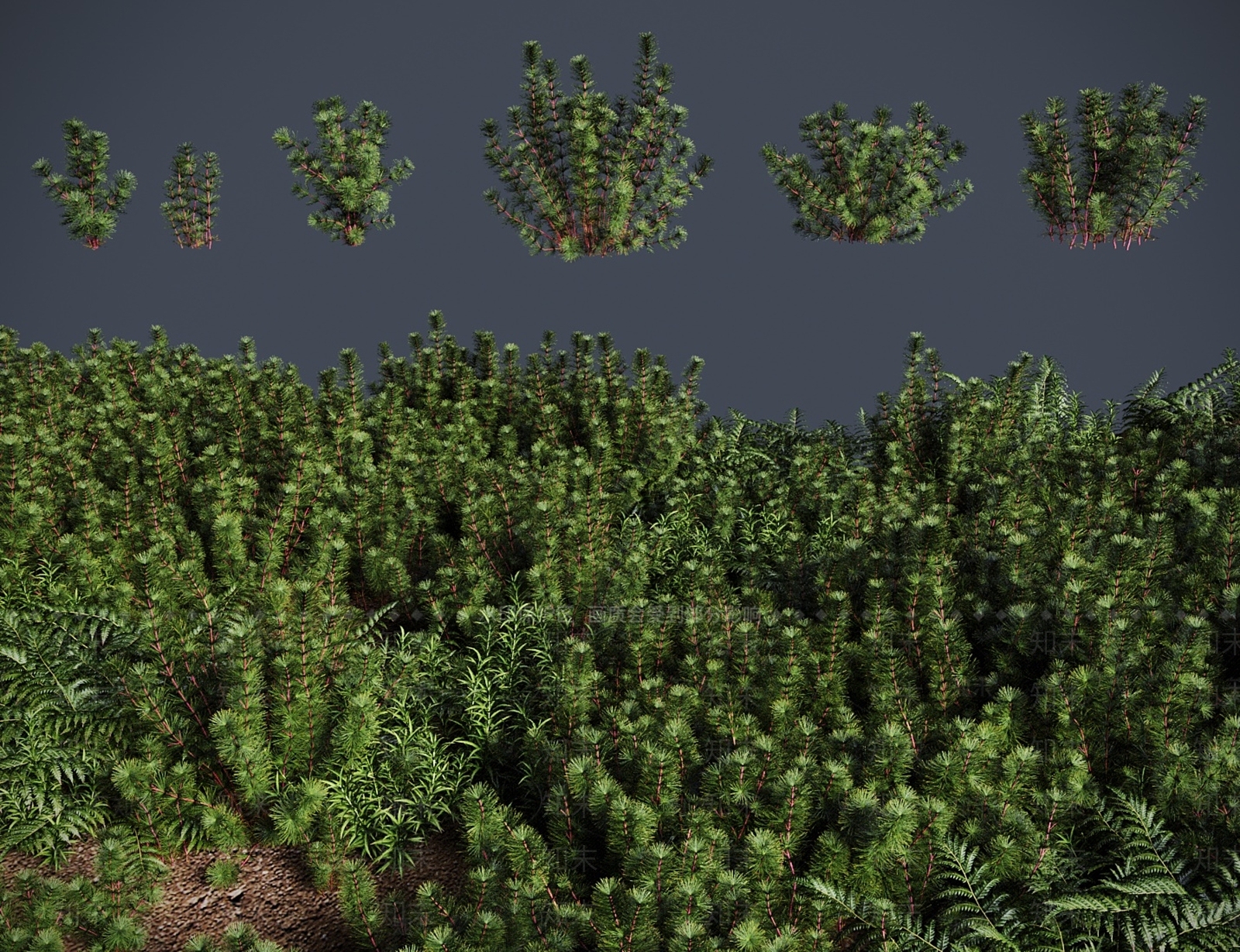 灌木3D模型下载【ID:1183155126】