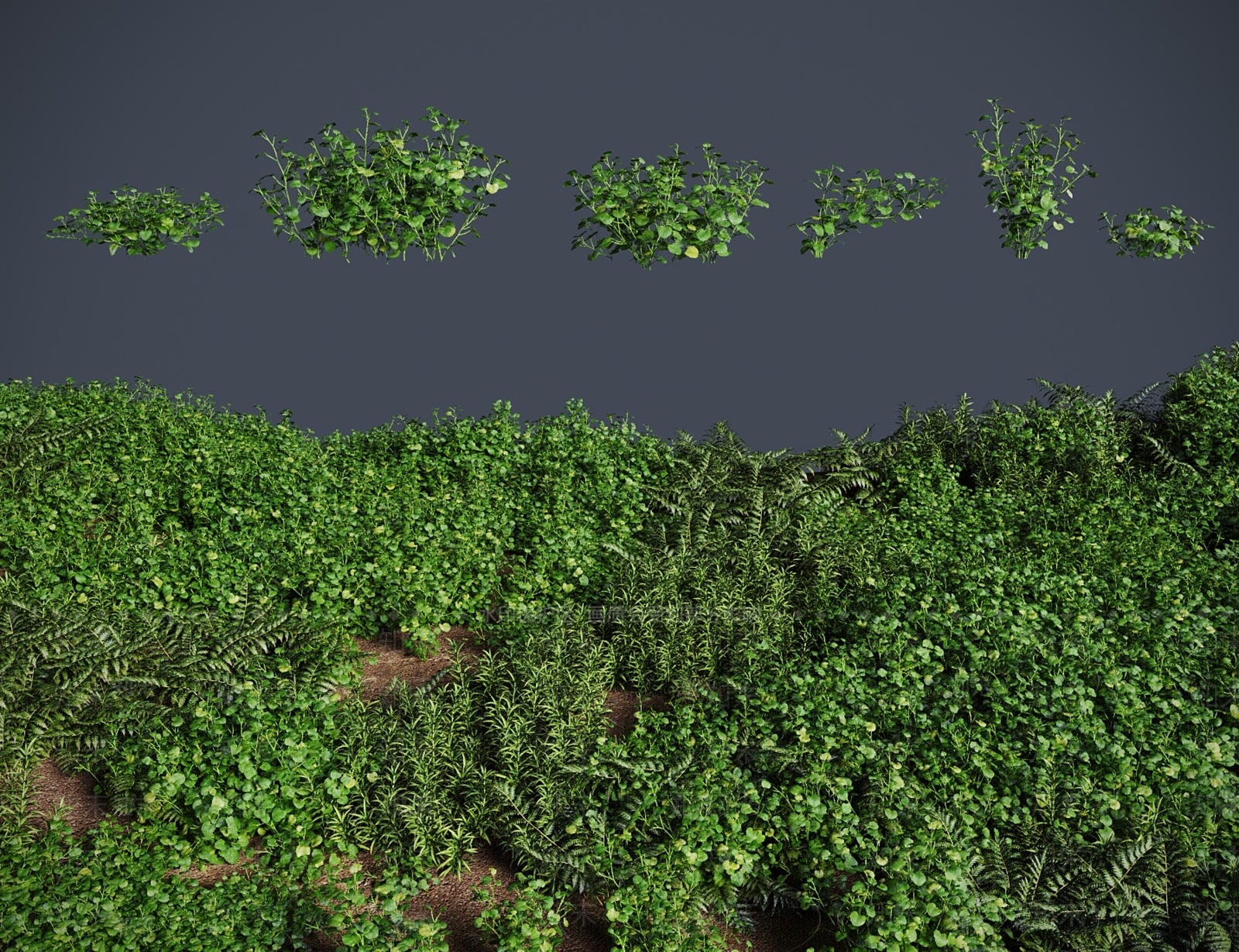 灌木3D模型下载【ID:1183158542】