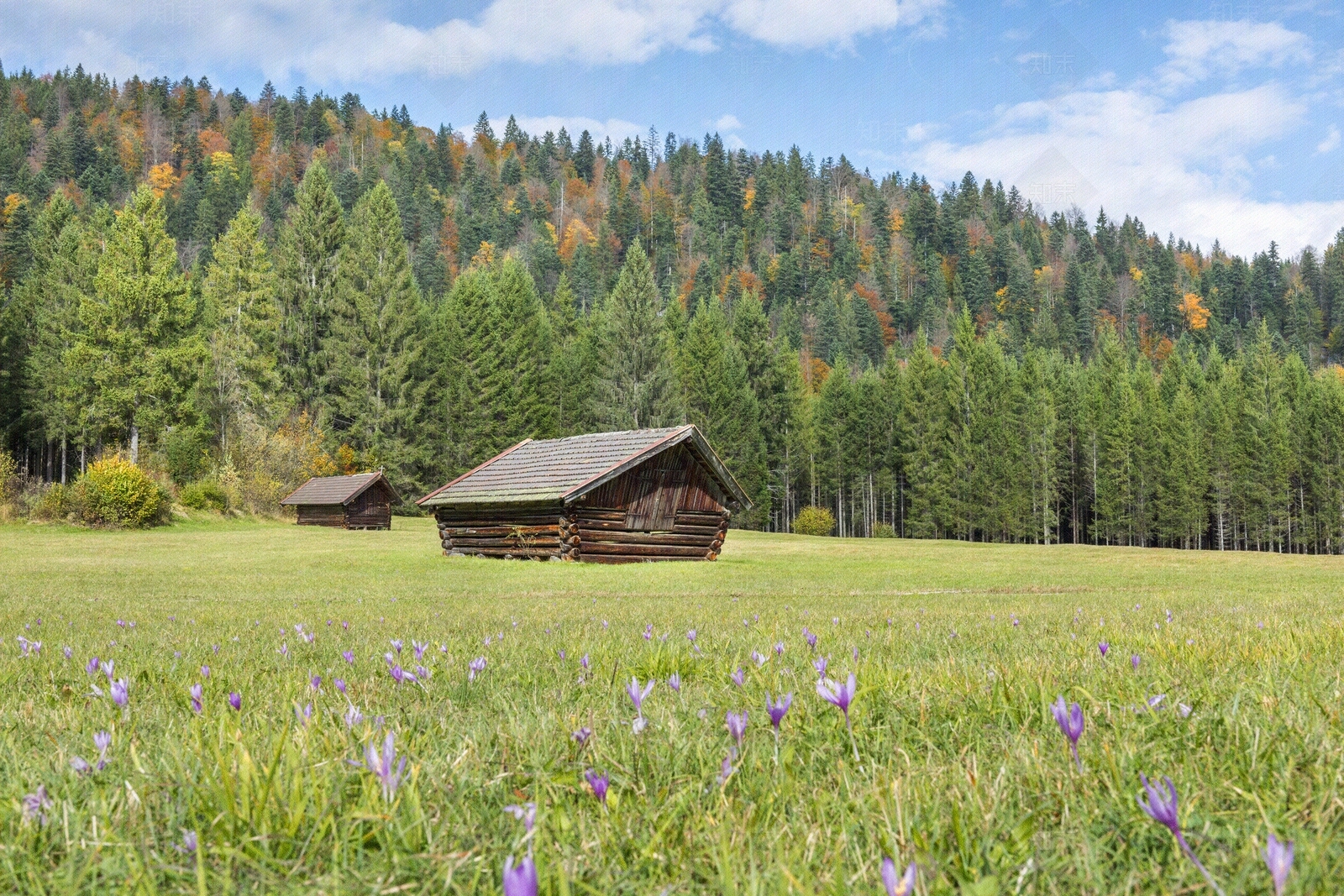 现代屏幕贴图下载【ID:1183177369】