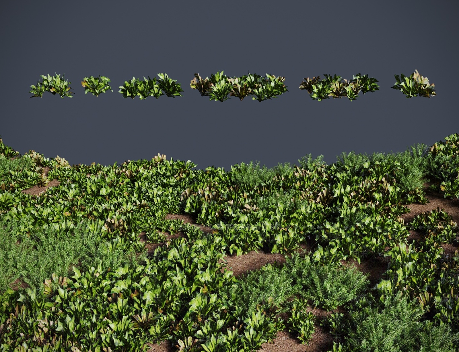 灌木3D模型下载【ID:1183177325】