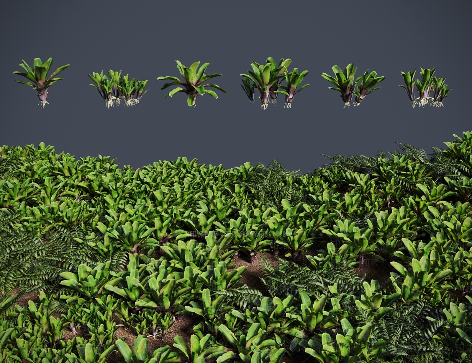 灌木3D模型下载【ID:1183178378】