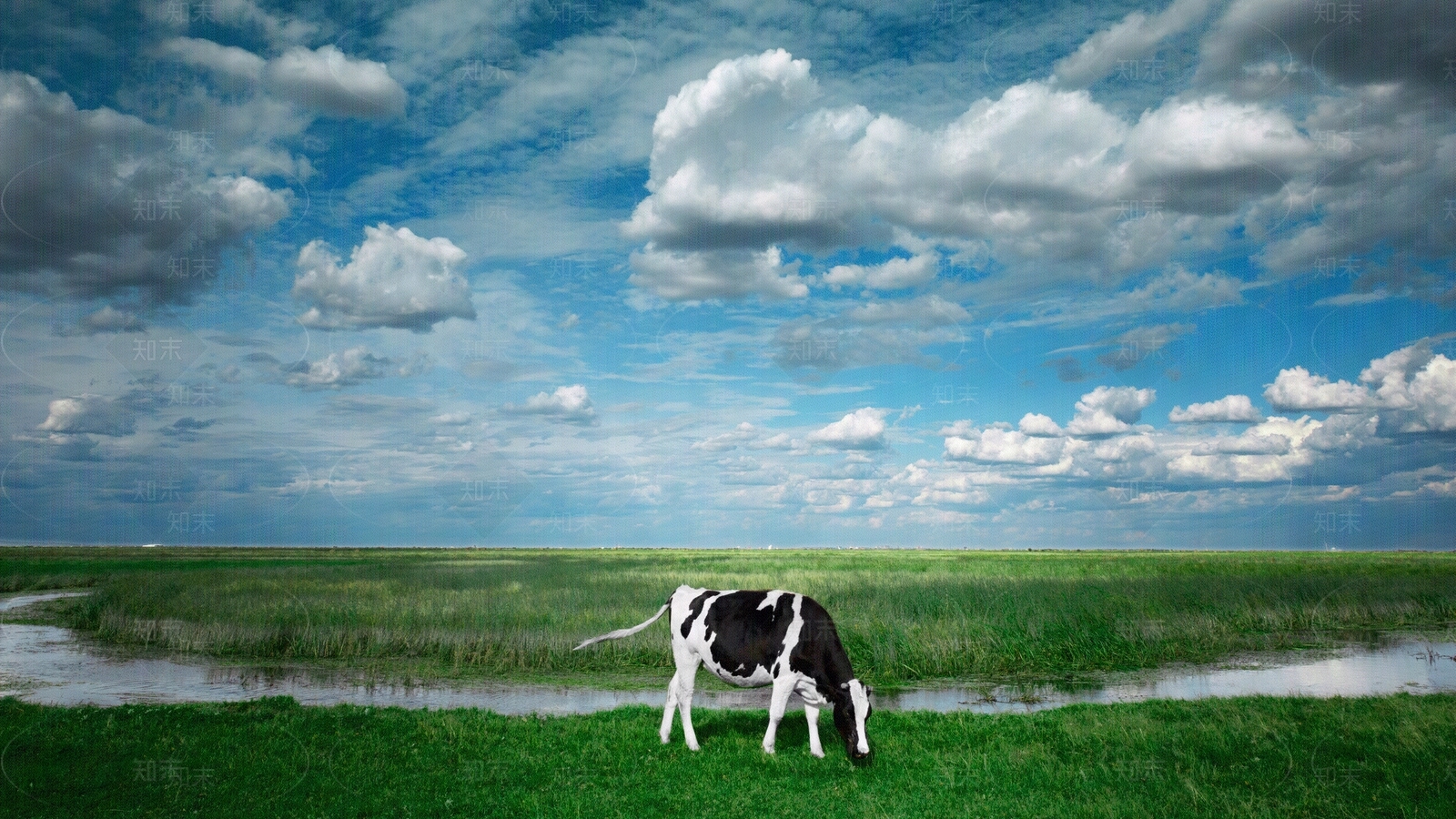 现代屏幕贴图下载【ID:1183178432】