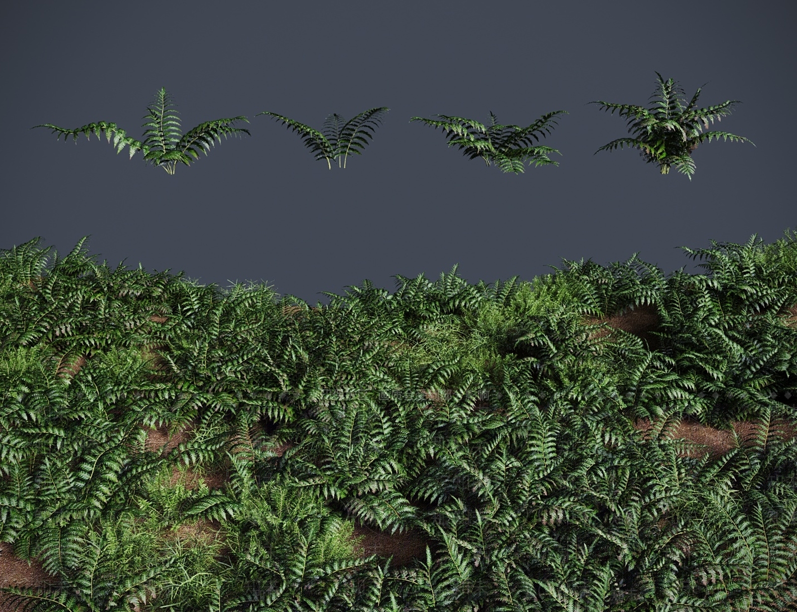 灌木3D模型下载【ID:1183181374】