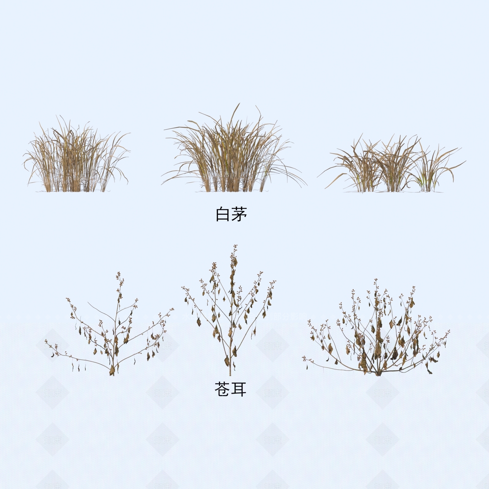 花草组合3D模型下载【ID:1183193729】
