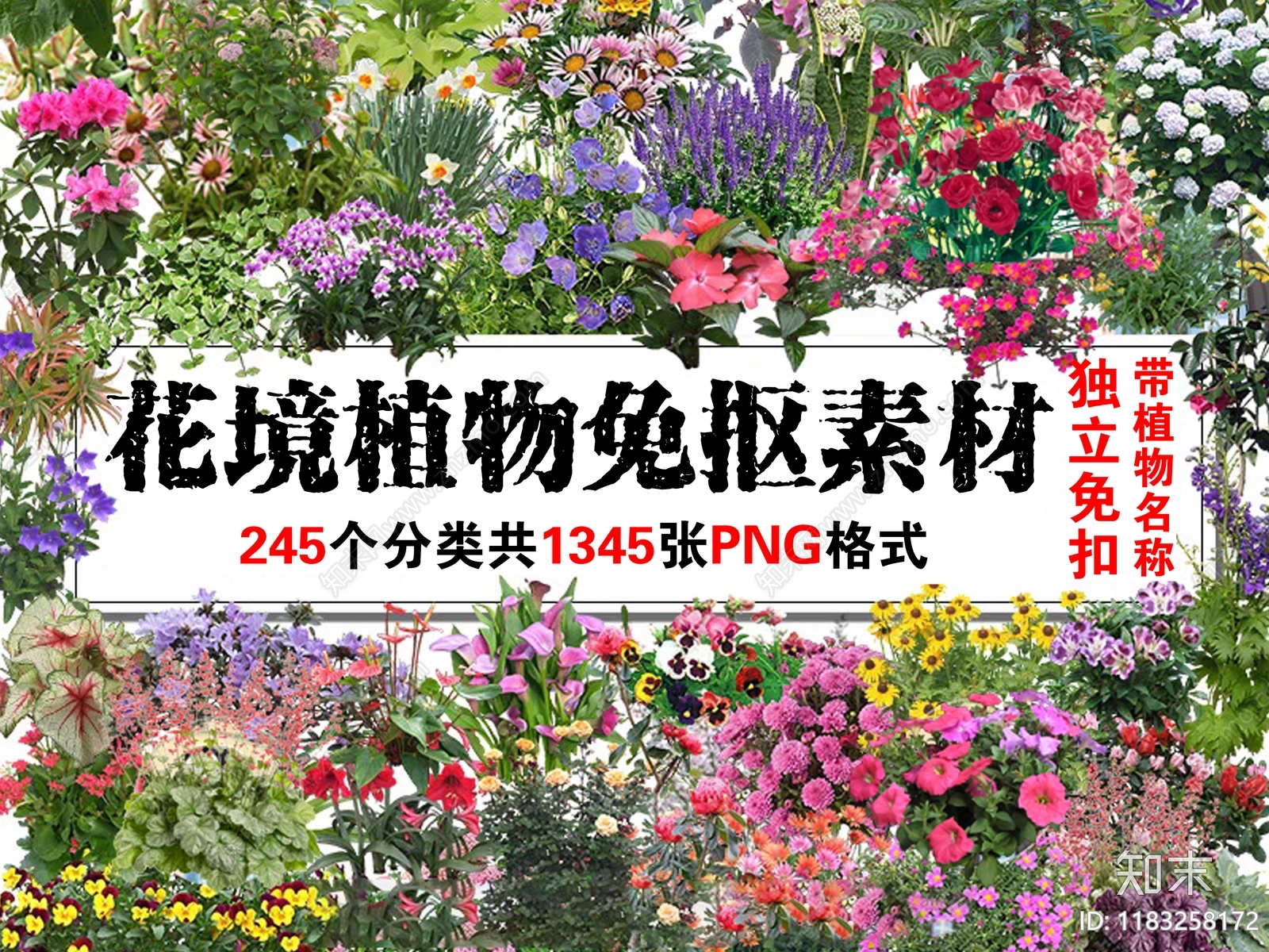 2025年最新超全花境植物花卉灌木PNG免抠素材下载【ID:1183258172】