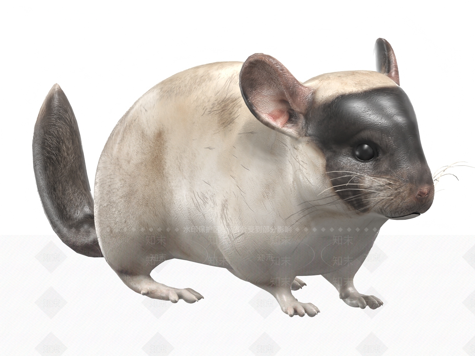 其他动物3D模型下载【ID:1183263056】