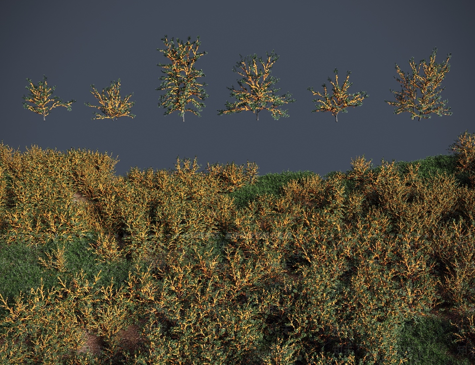 灌木3D模型下载【ID:1183265923】