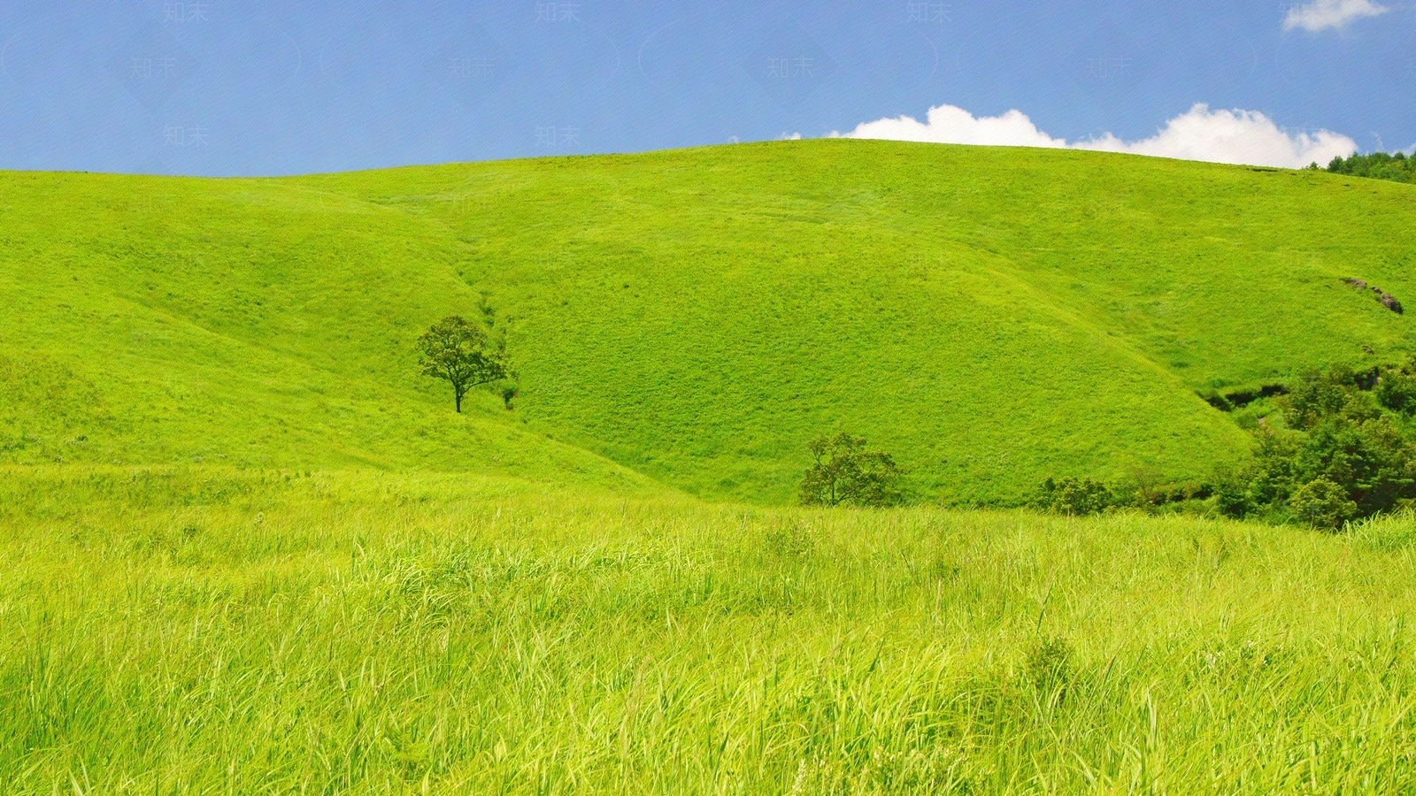 现代屏幕贴图下载【ID:1183272357】