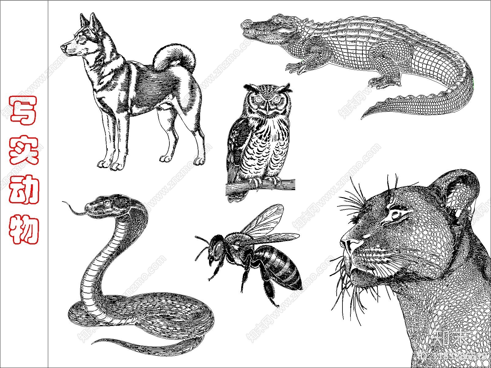 现代动物施工图下载【ID:1183286519】