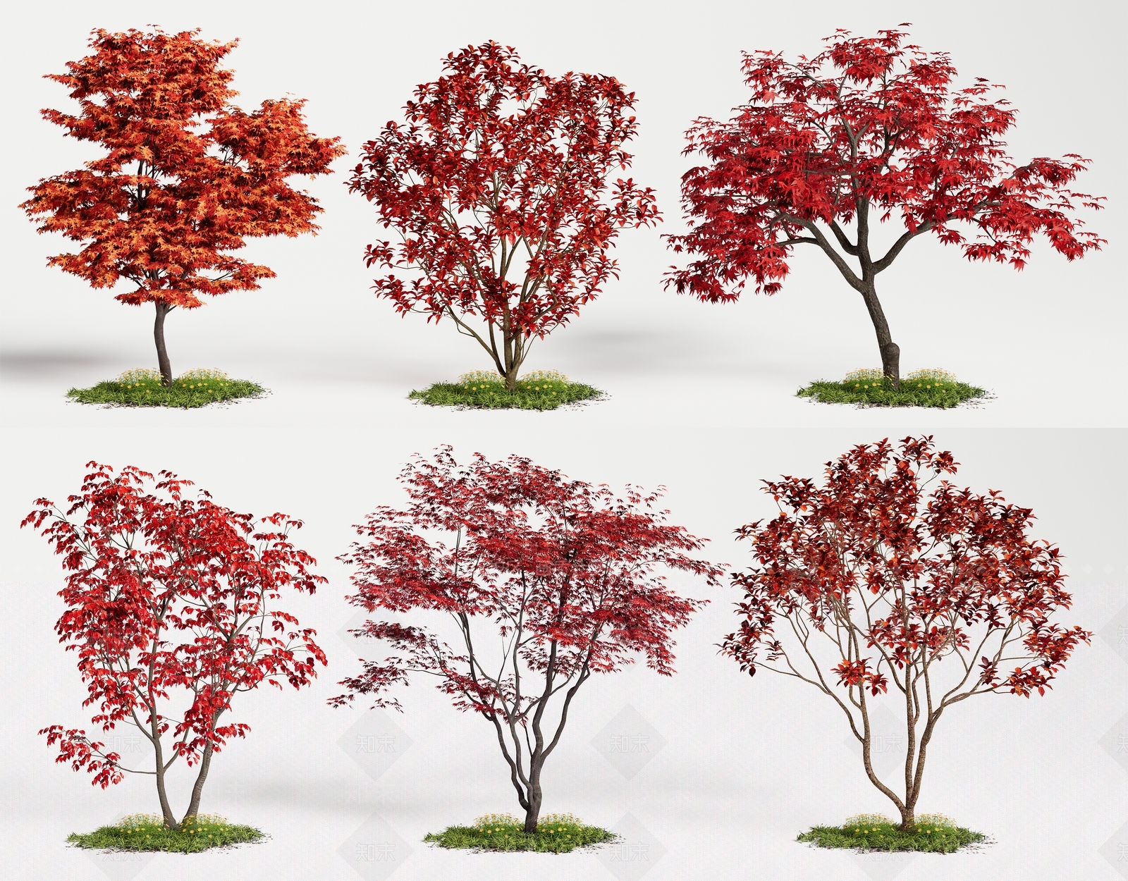 乔木3D模型下载【ID:1183334413】
