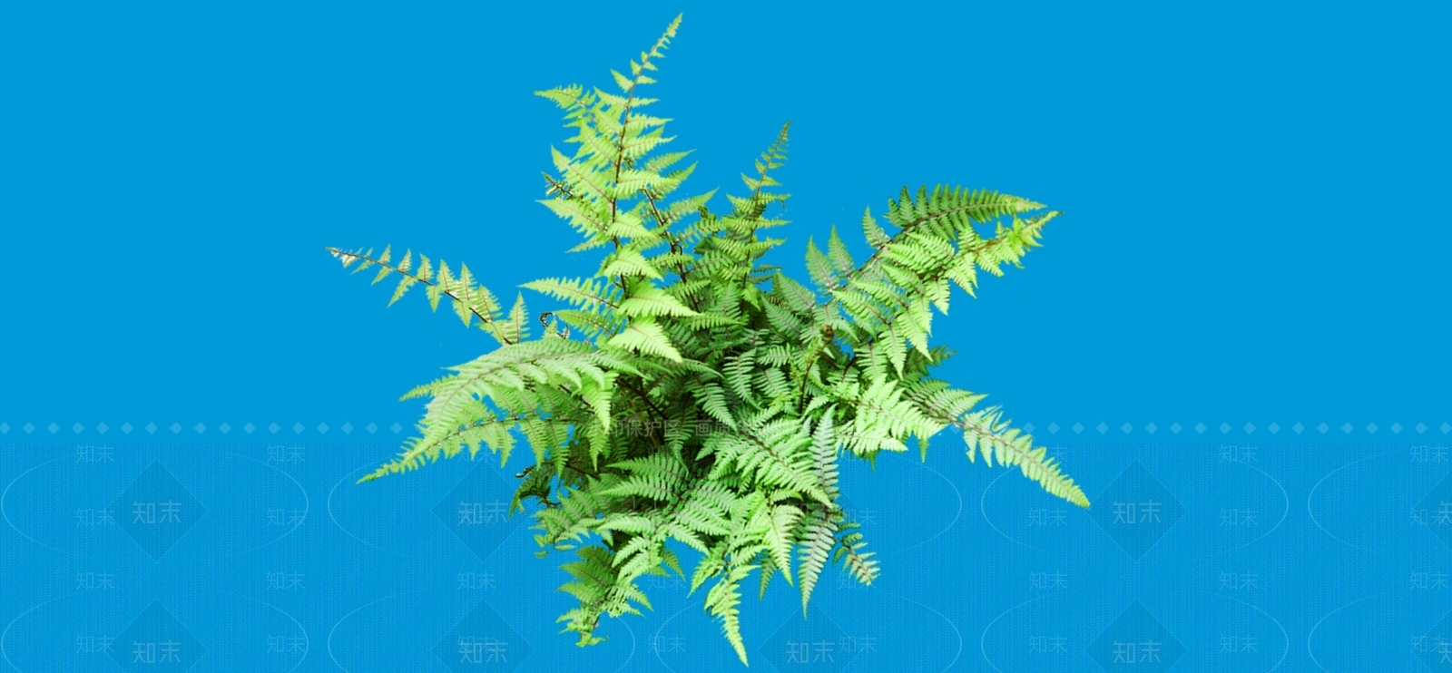 灌木SU模型下载【ID:1183368986】