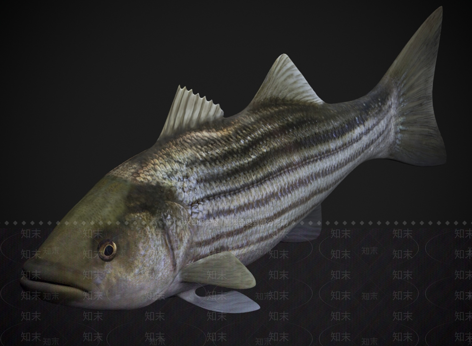 其他动物3D模型下载【ID:1183420775】