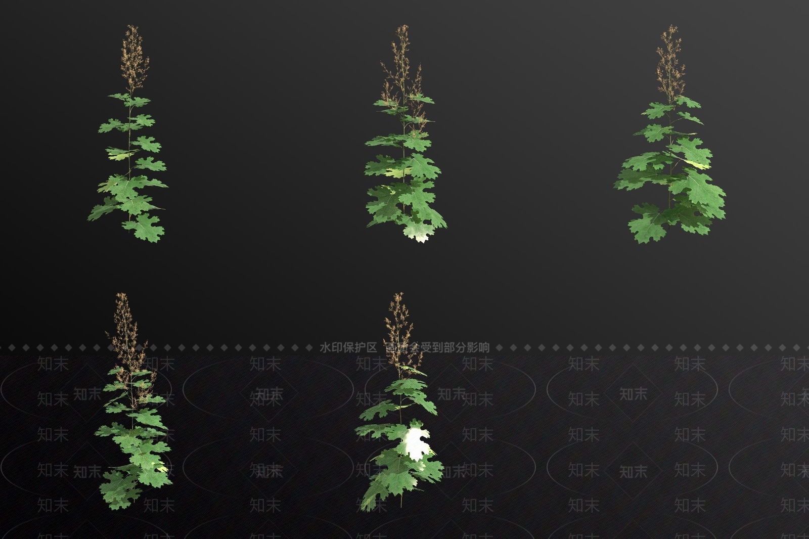 花草组合3D模型下载【ID:1183450540】