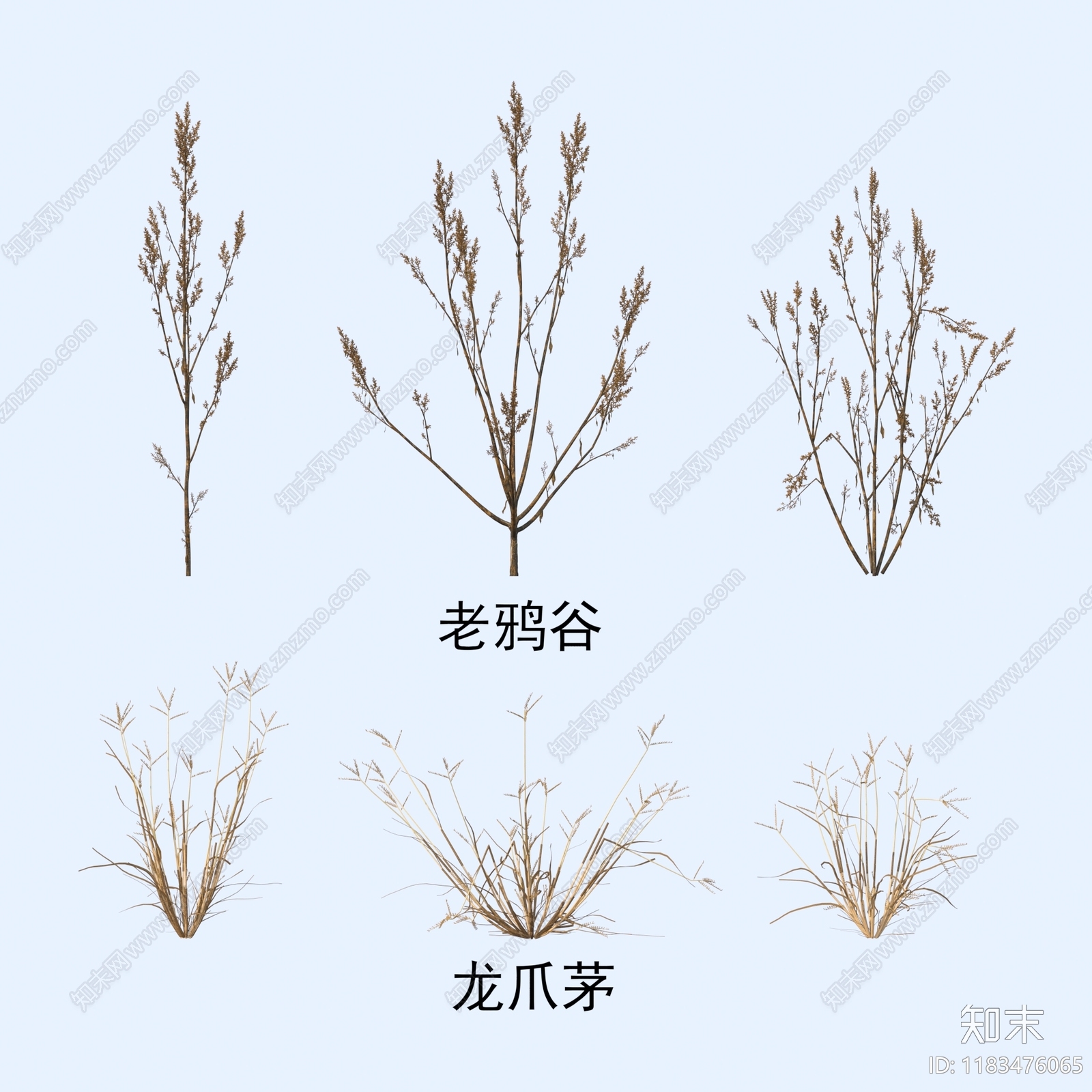 花草组合3D模型下载【ID:1183476065】