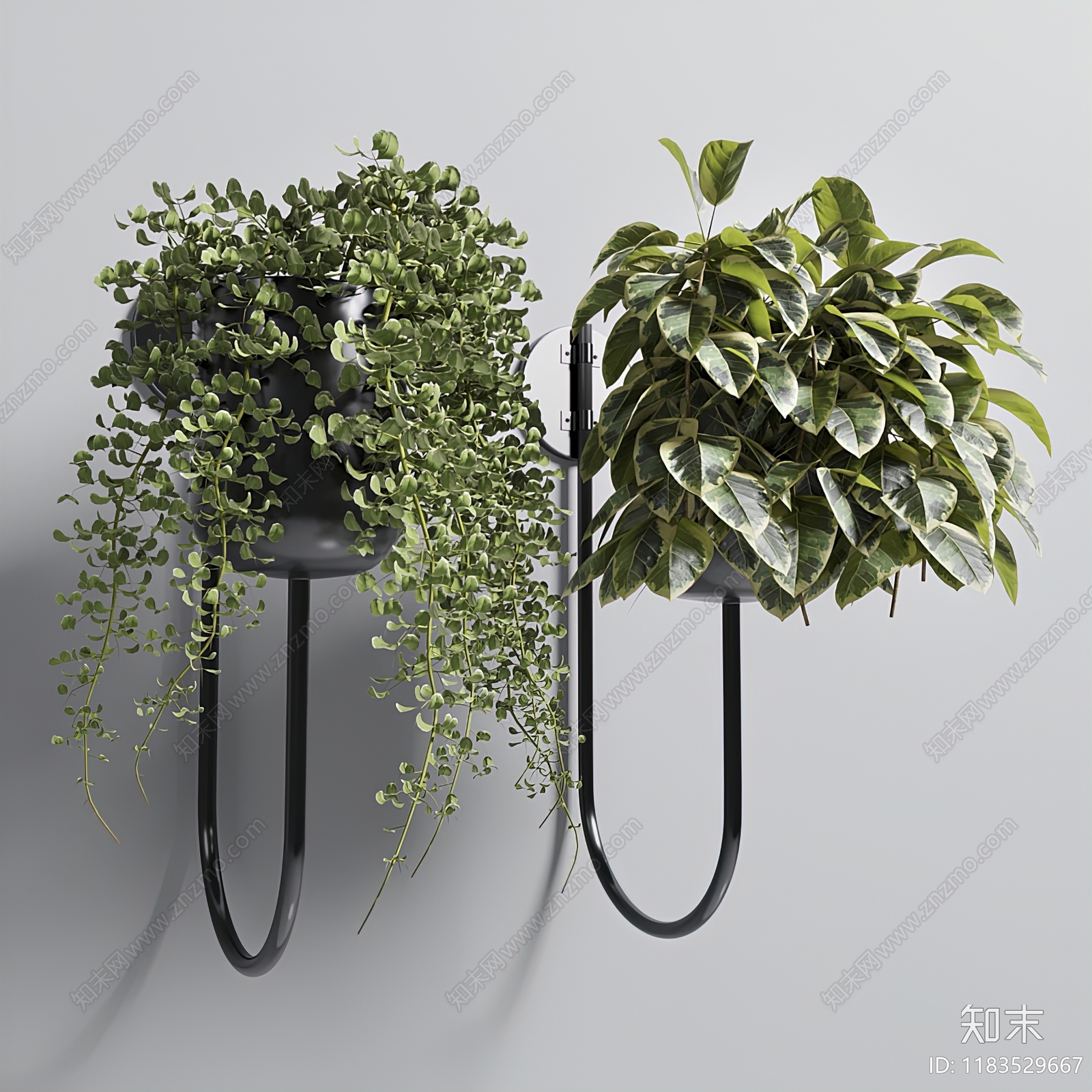 现代绿植吊篮3D模型下载【ID:1183529667】