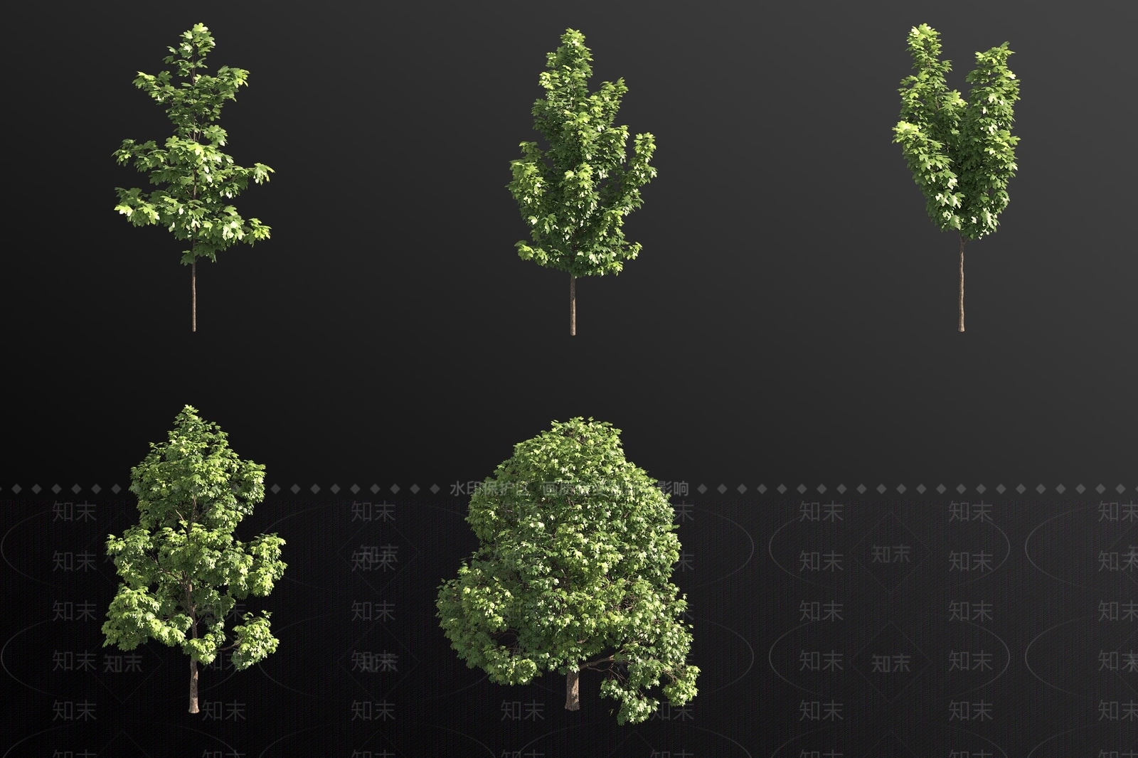 灌木3D模型下载【ID:1183540137】