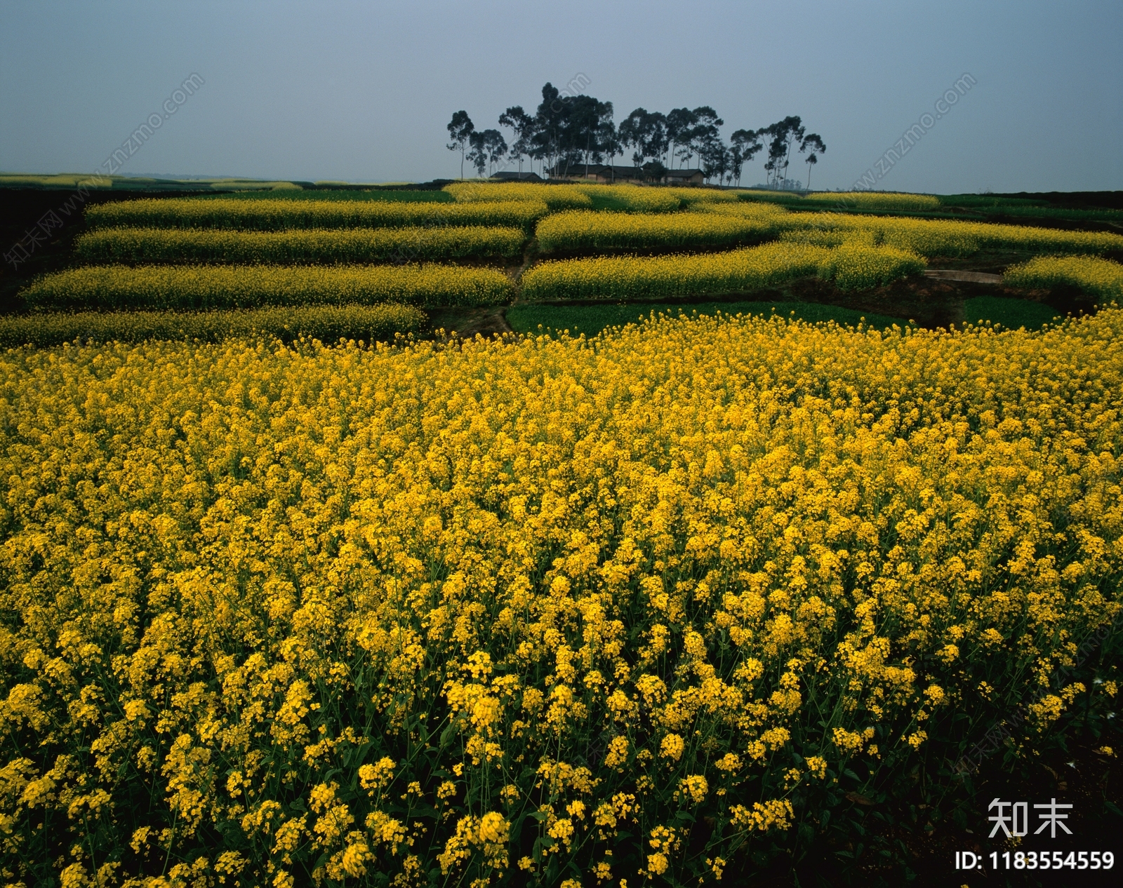 现代风景贴图下载【ID:1183554559】