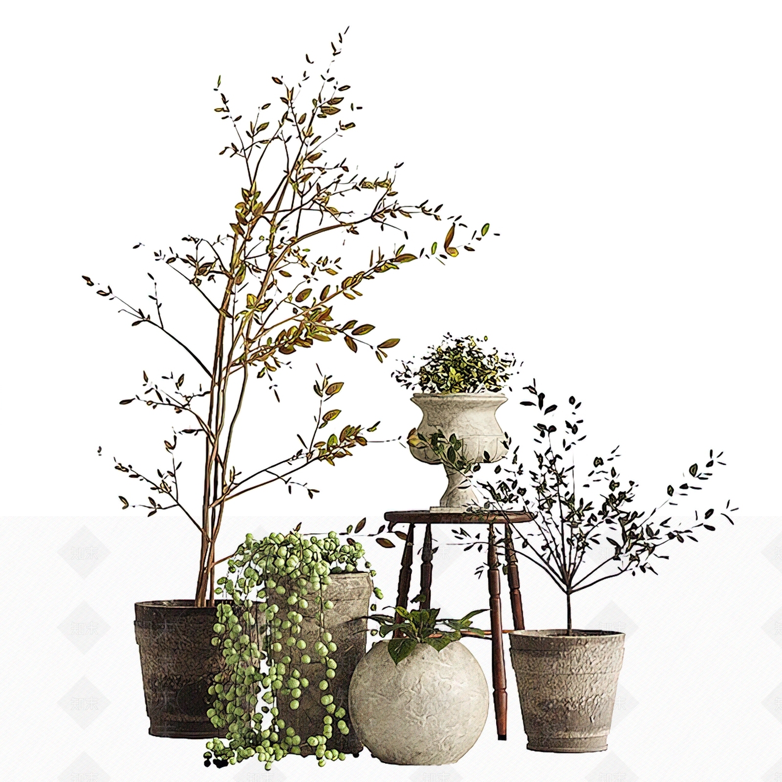 现代绿植盆栽3D模型下载【ID:1183681782】