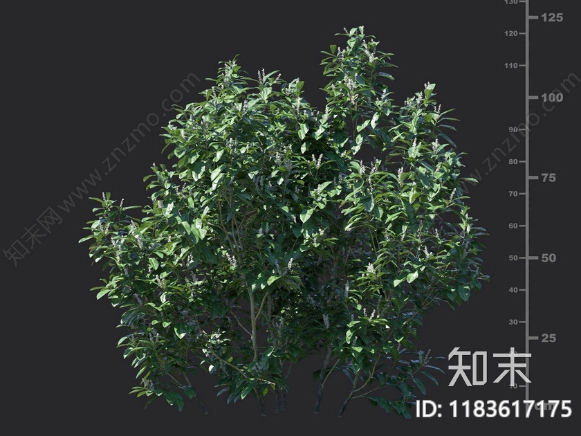 现代灌木3D模型下载【ID:1183617175】