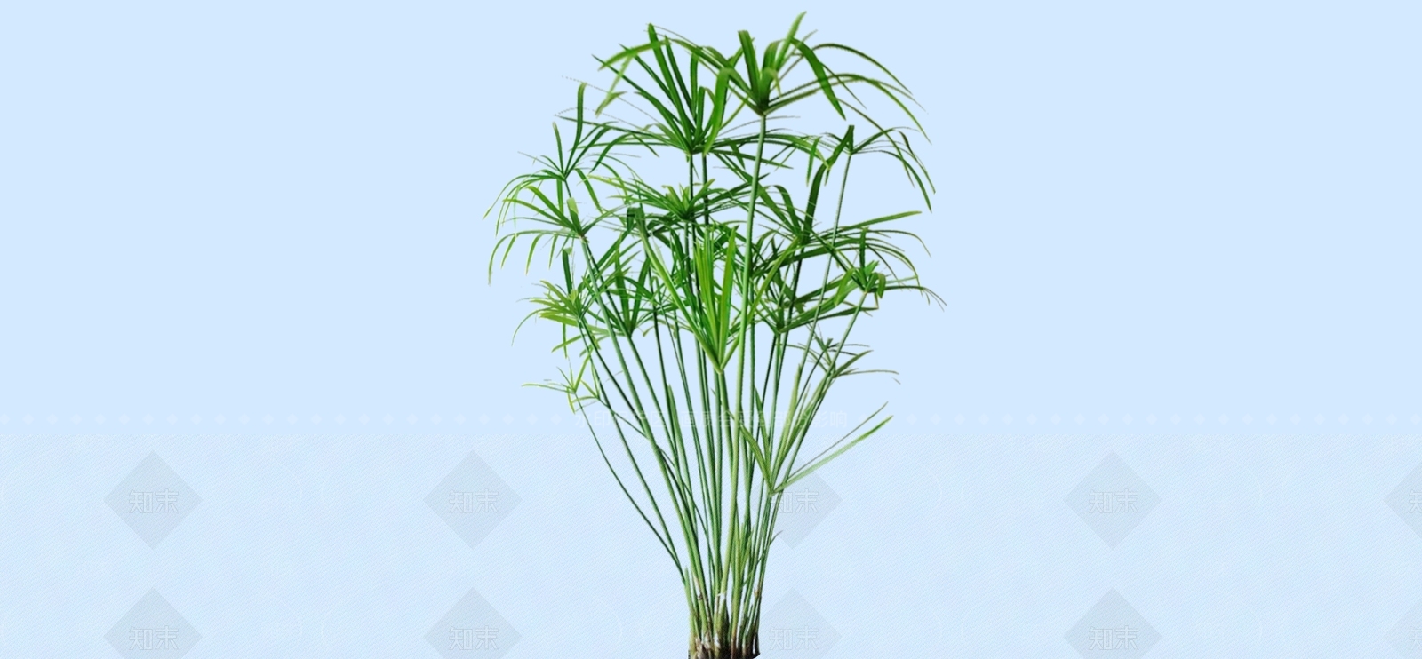 灌木SU模型下载【ID:1183696696】