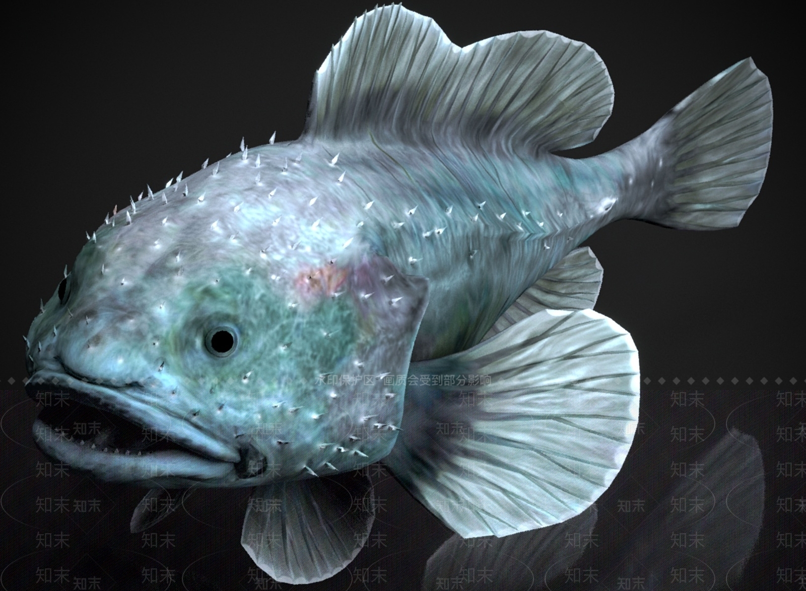 水生类动物3D模型下载【ID:1183721183】