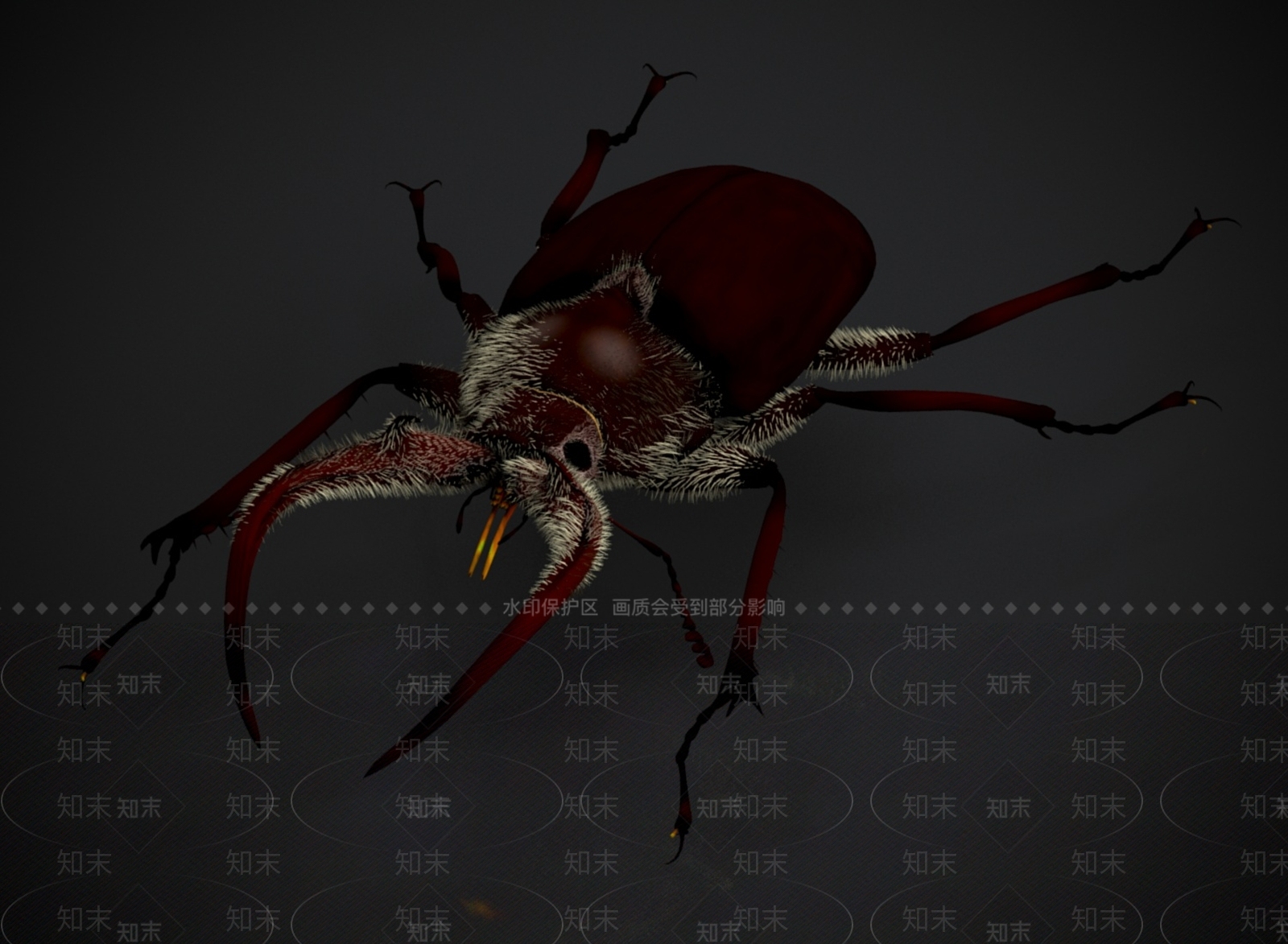 其他动物3D模型下载【ID:1183722169】