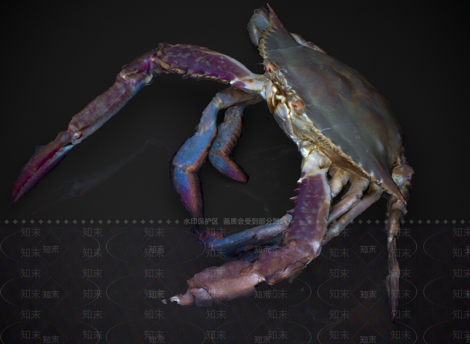 水生类动物3D模型下载【ID:1183723164】