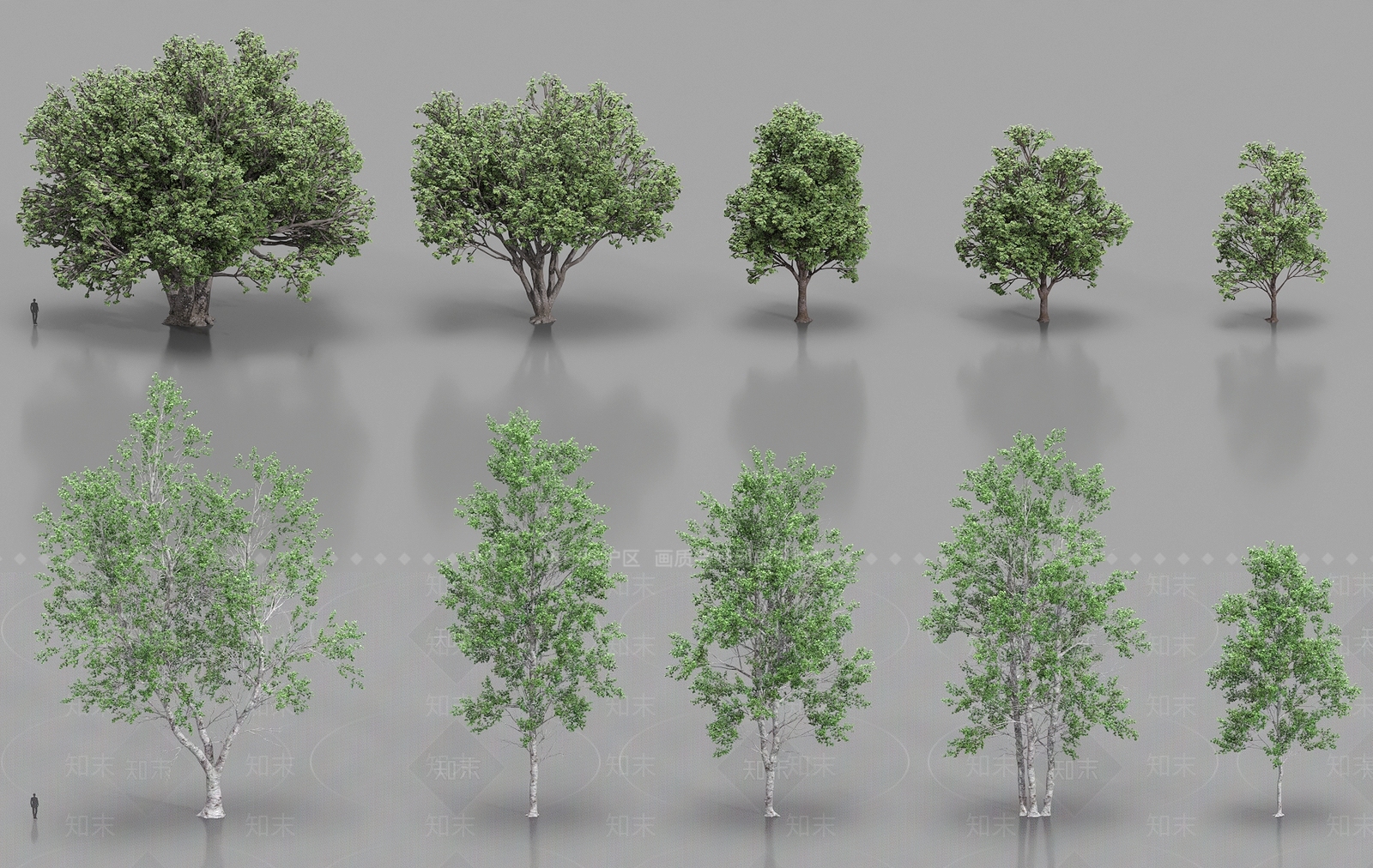 乔木3D模型下载【ID:1183729258】