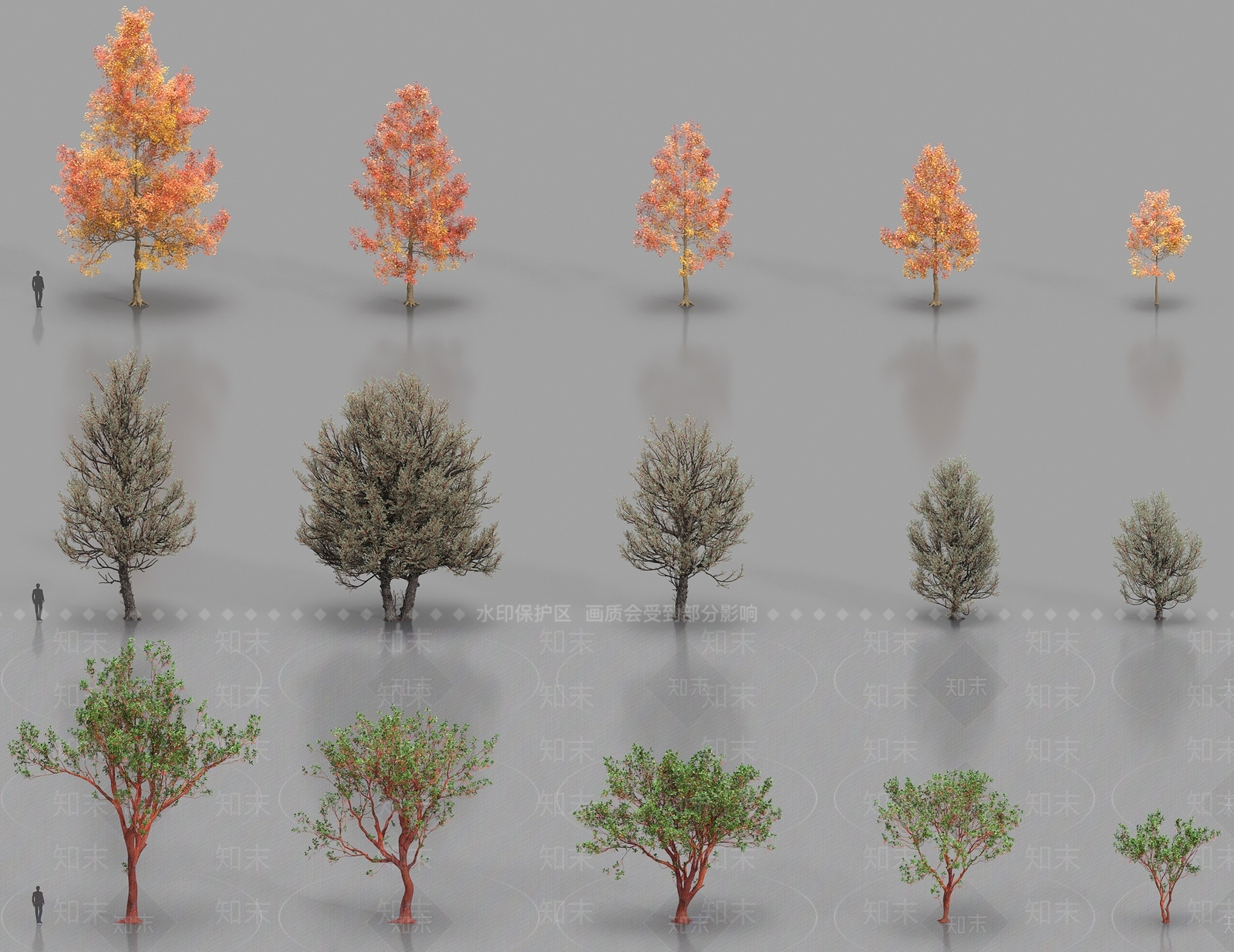 乔木3D模型下载【ID:1183729393】