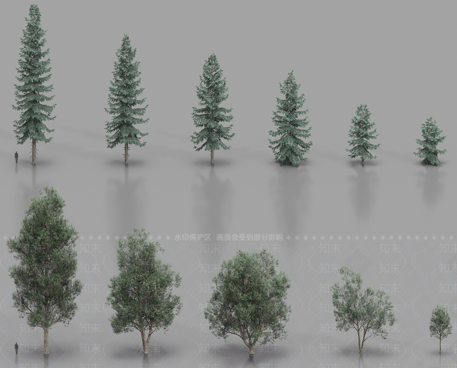 乔木3D模型下载【ID:1183729570】