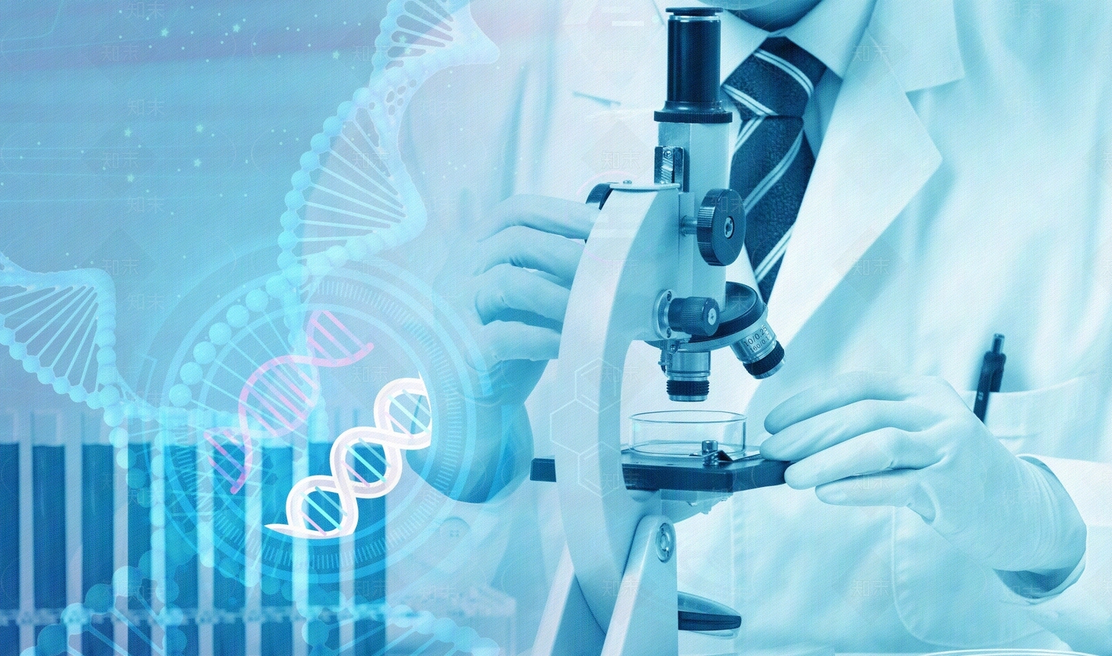 现代屏幕贴图下载【ID:1183819772】