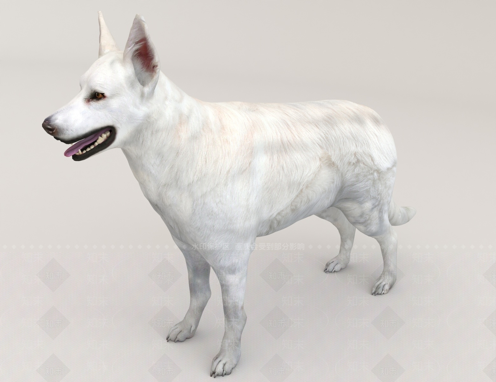 其他动物3D模型下载【ID:1183857906】