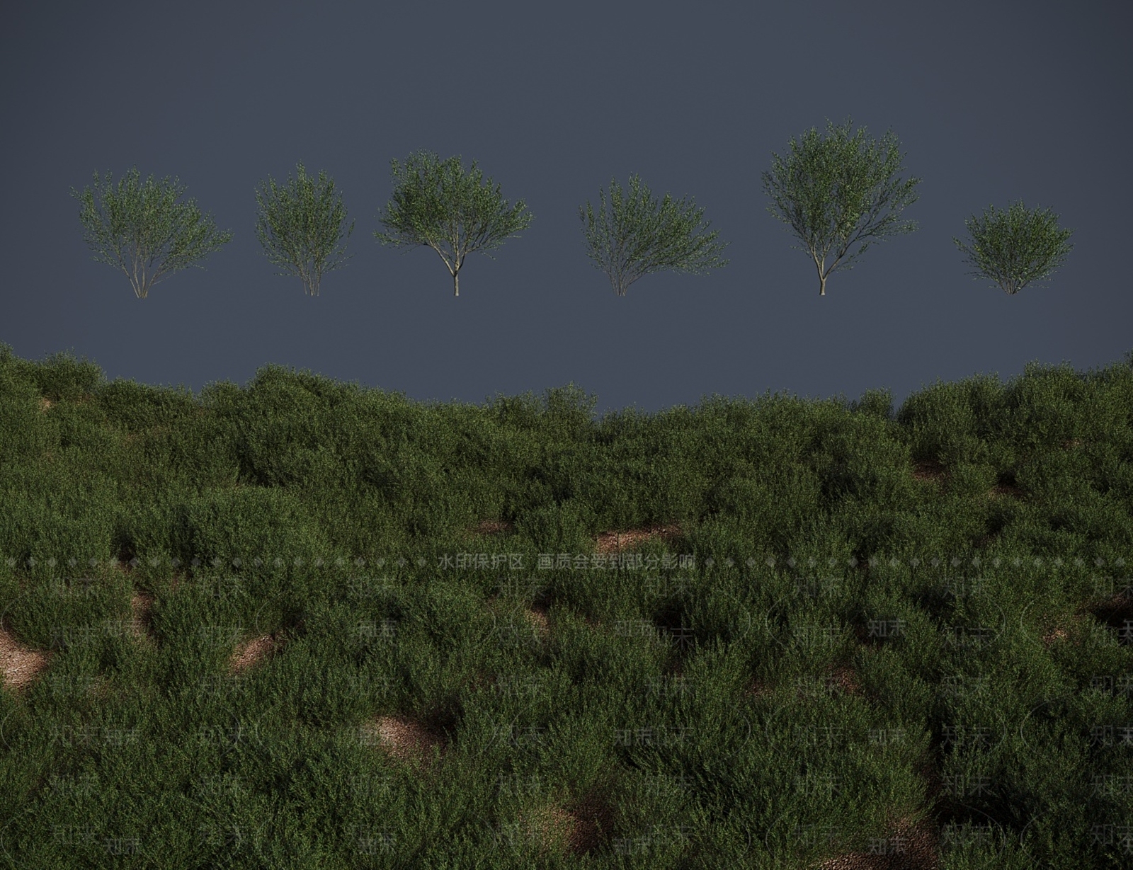 灌木3D模型下载【ID:1183883481】