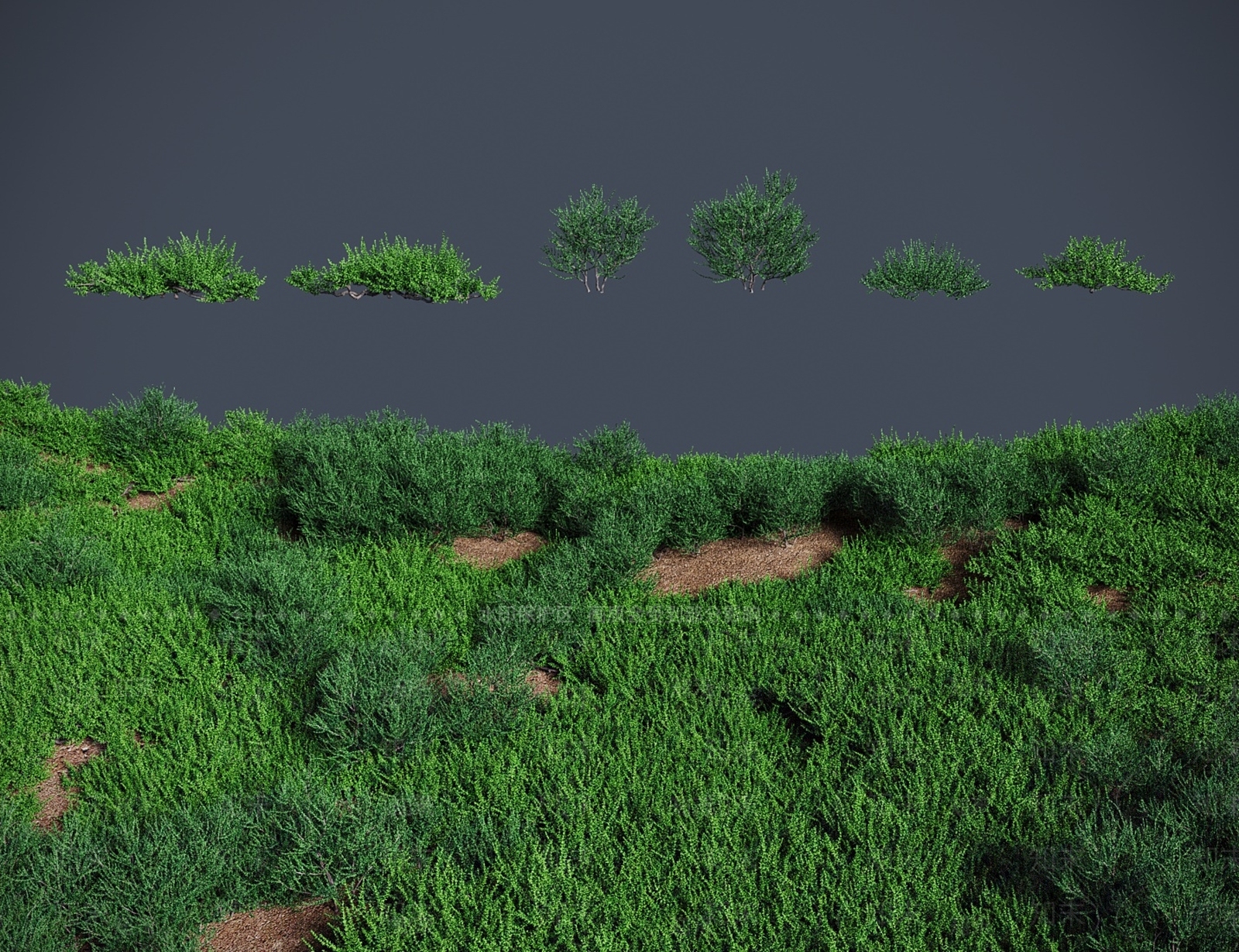 乔木3D模型下载【ID:1183890105】