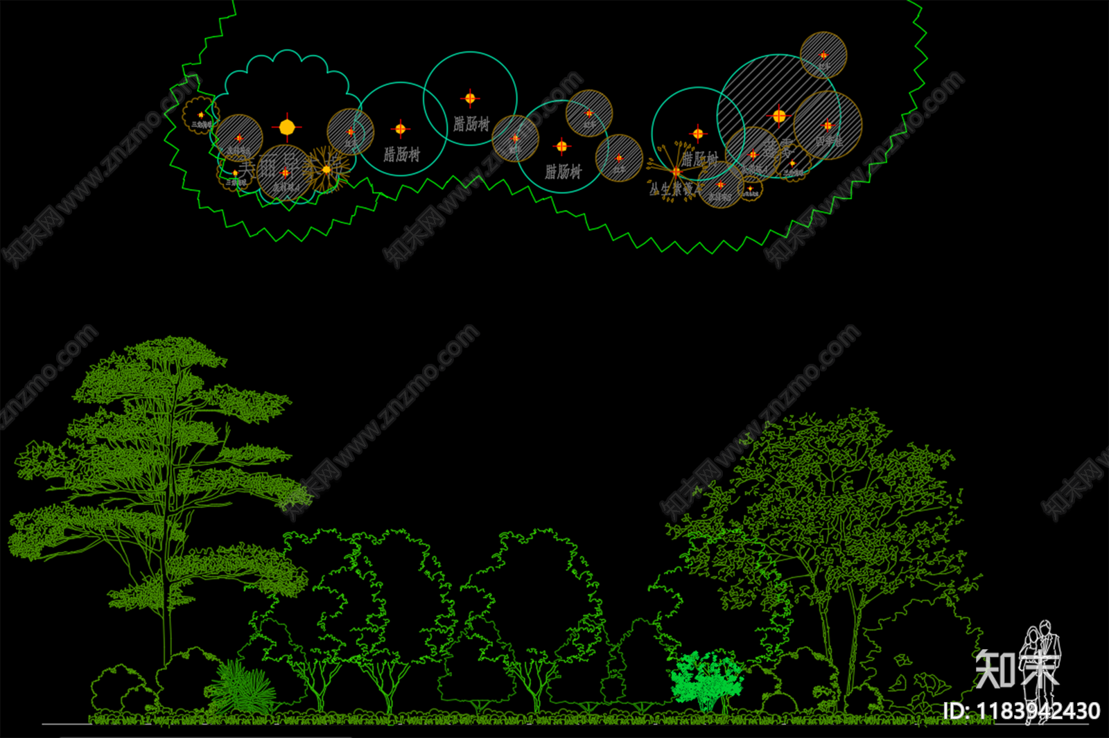 现代综合植物图库cad施工图下载【ID:1183942430】