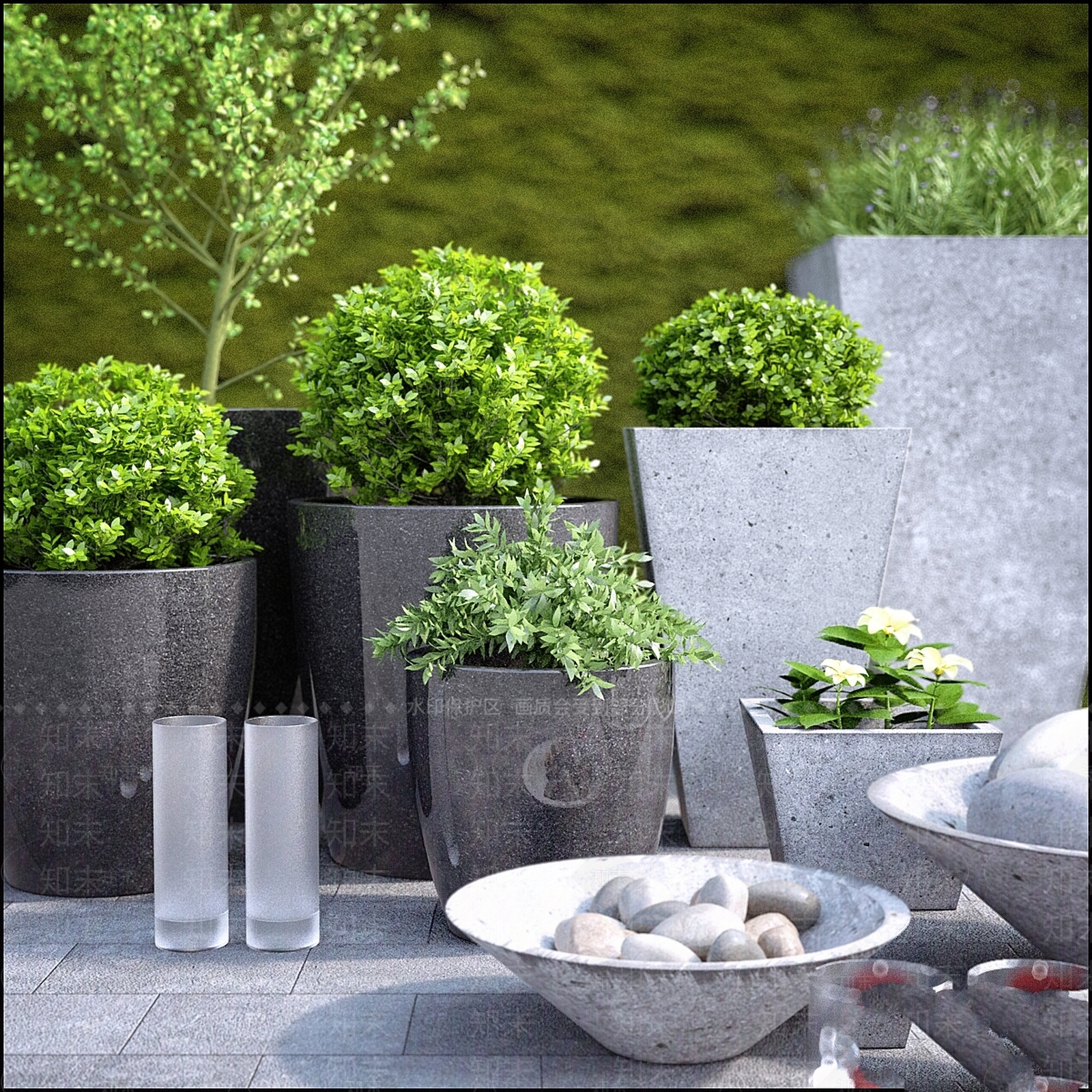 其他绿植3D模型下载【ID:1183971349】