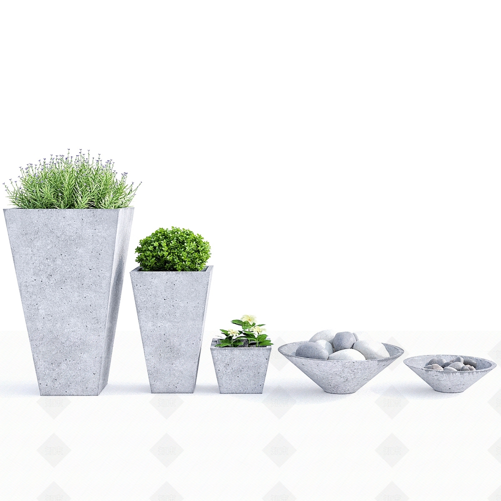 其他绿植3D模型下载【ID:1183971349】