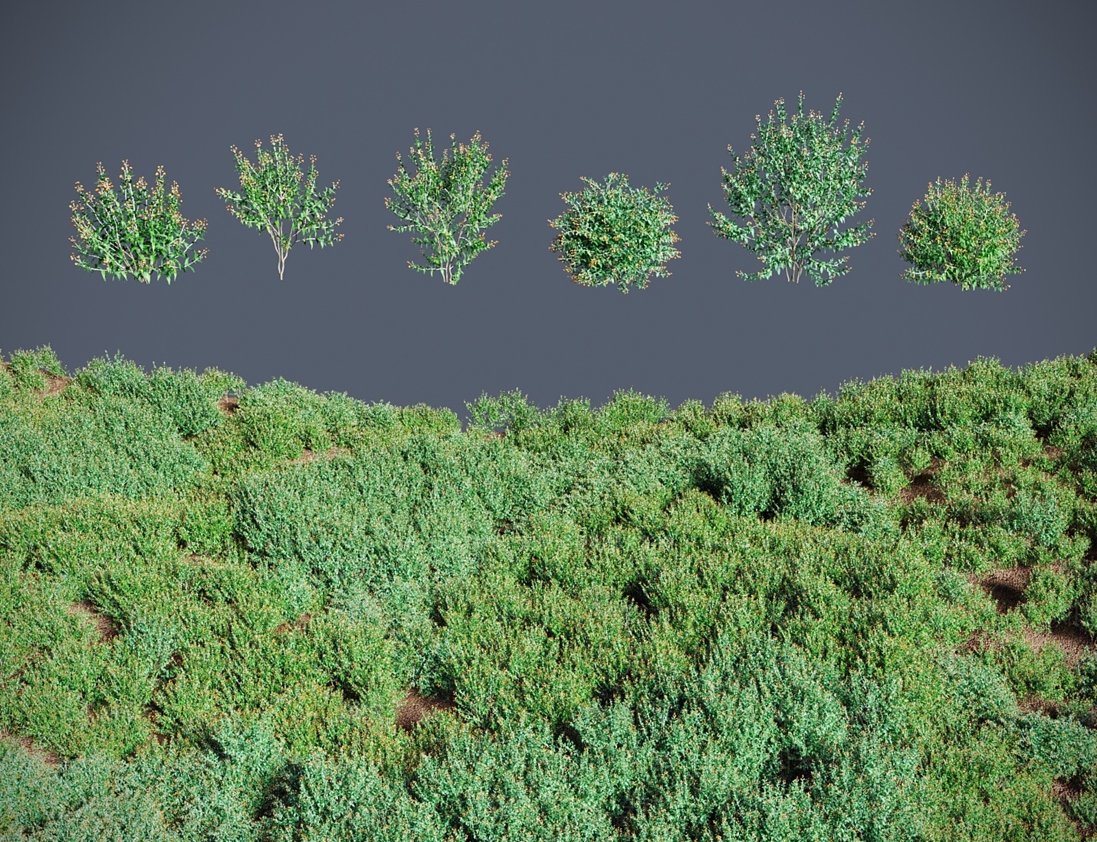 灌木3D模型下载【ID:1183973644】