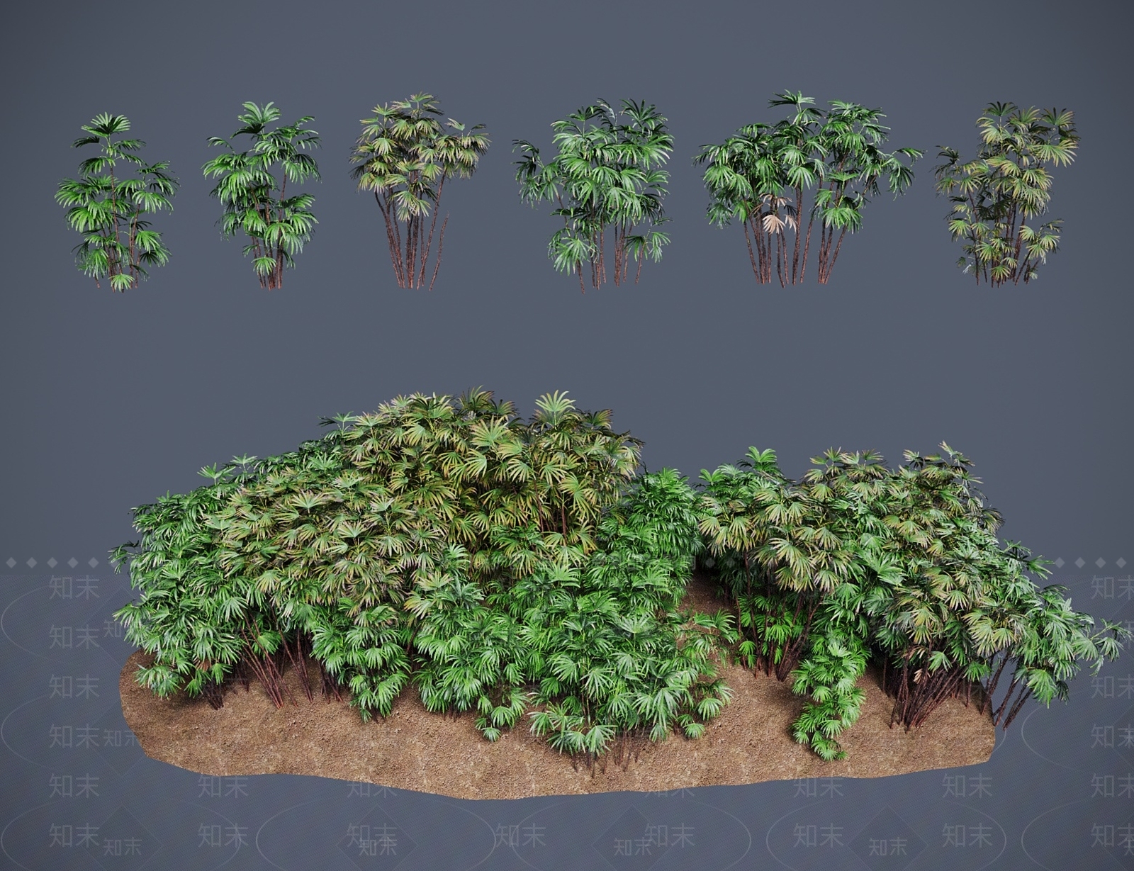 灌木3D模型下载【ID:1183975699】