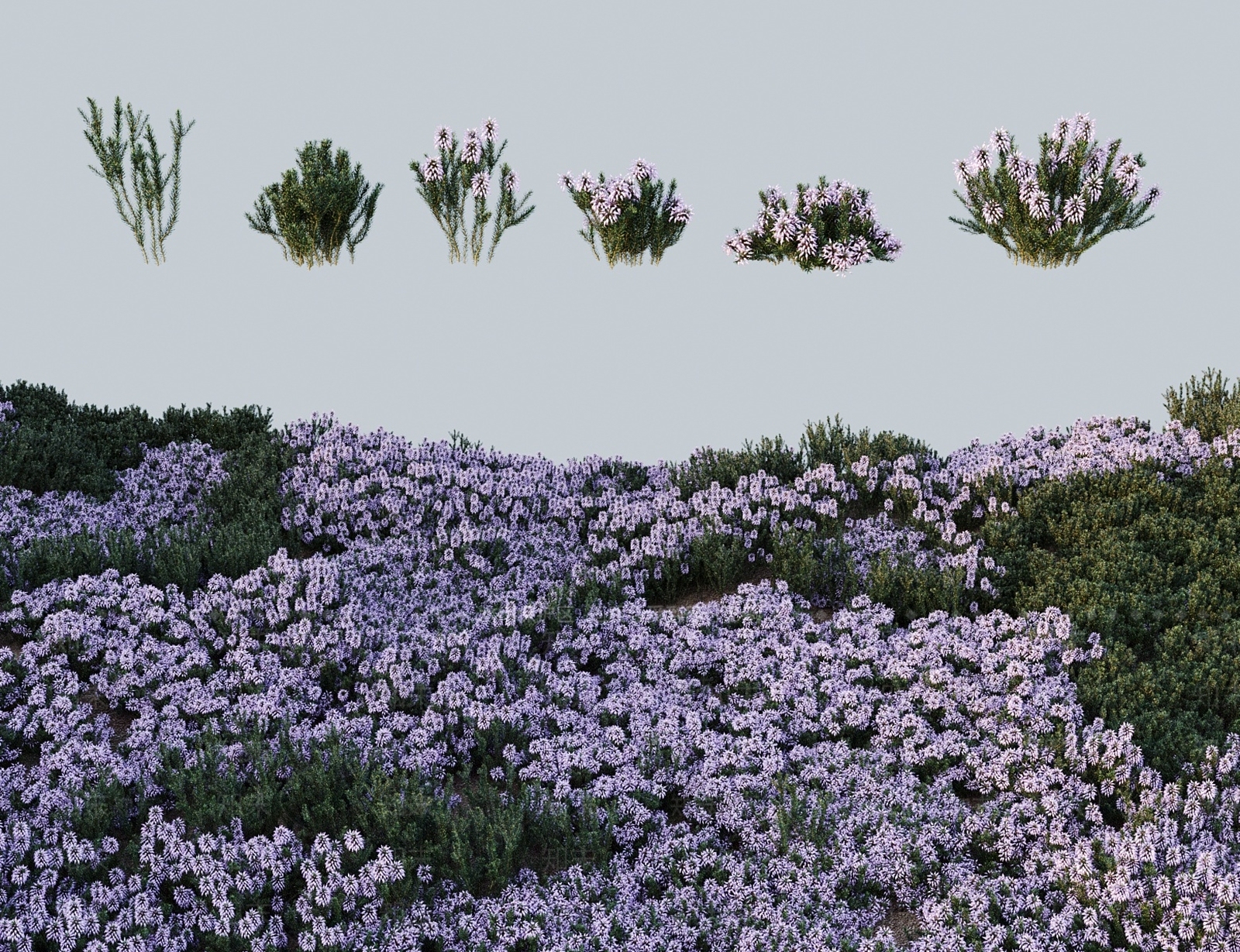 灌木3D模型下载【ID:1183976204】