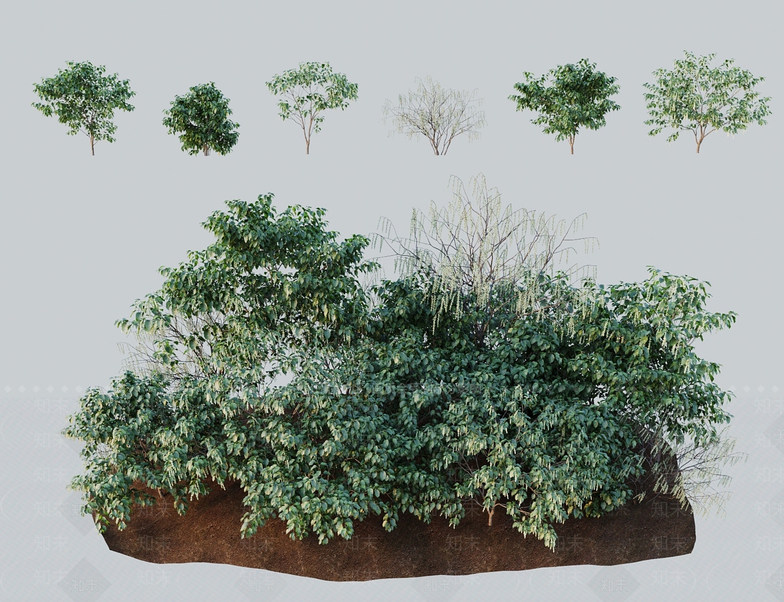 灌木3D模型下载【ID:1183976753】