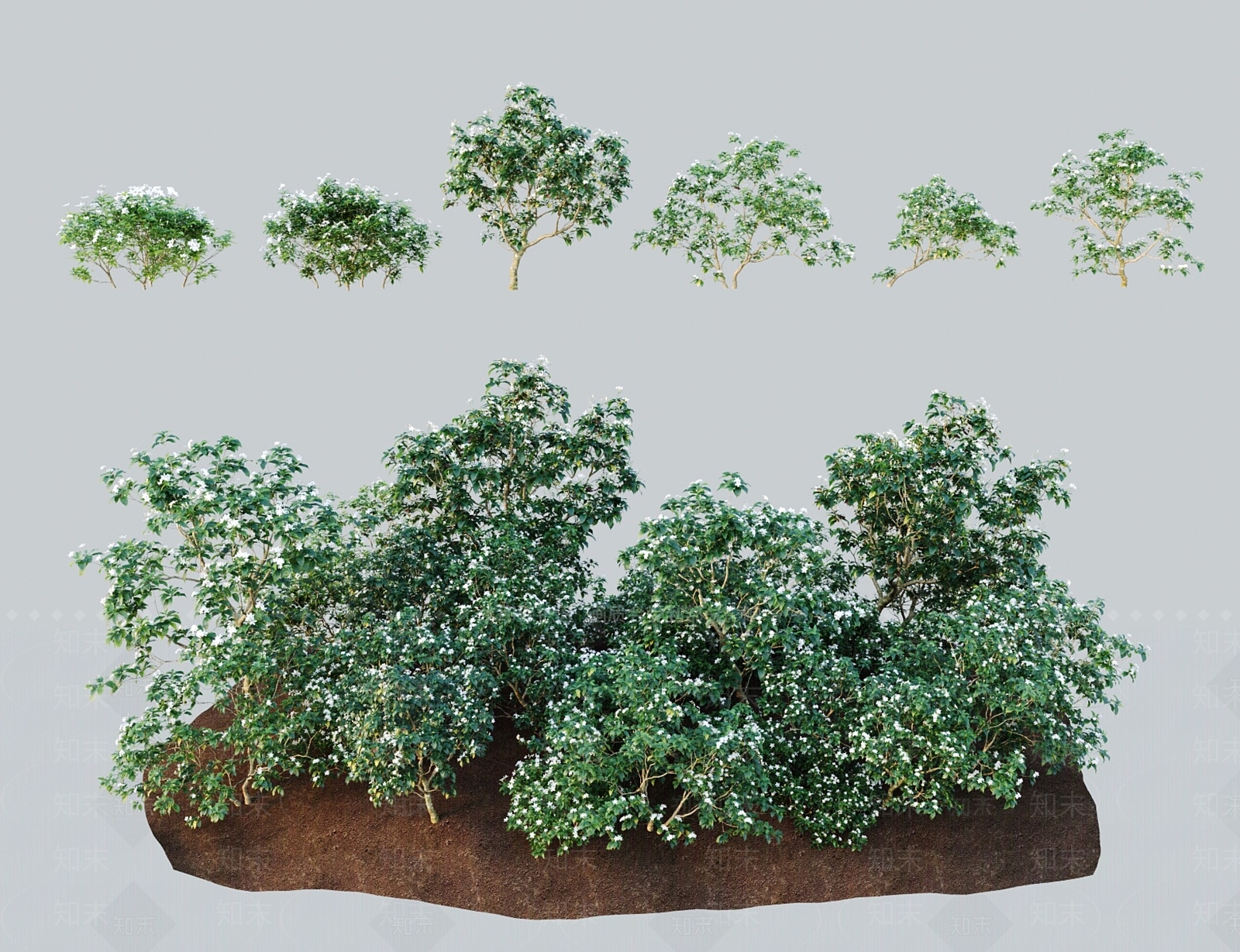 灌木3D模型下载【ID:1183977134】