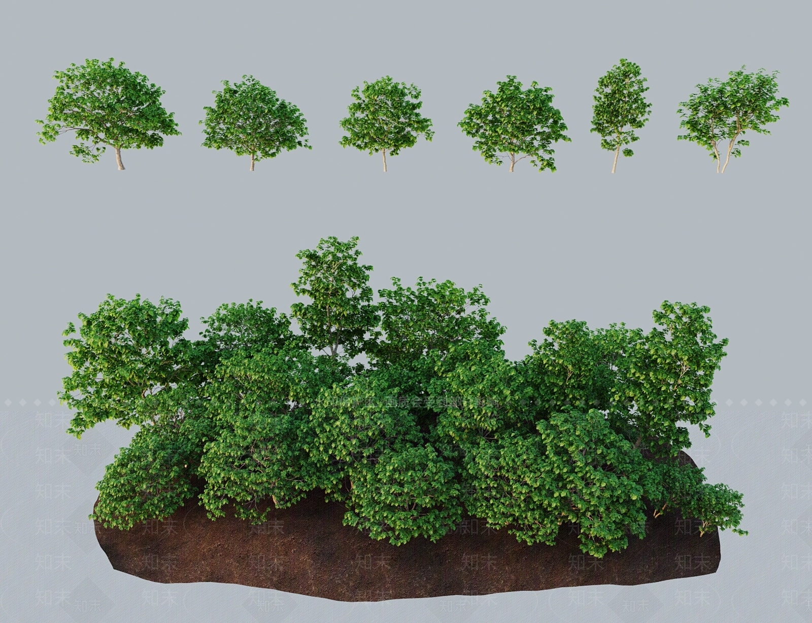 灌木3D模型下载【ID:1183977545】