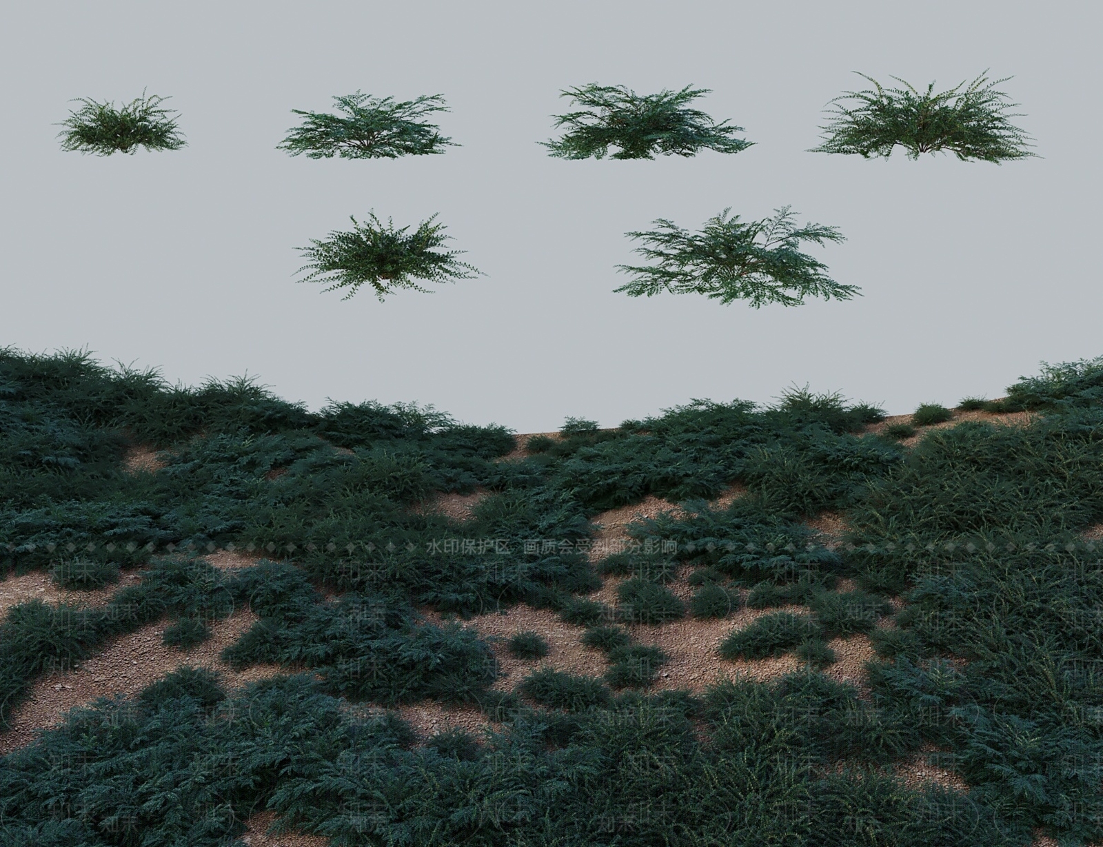灌木3D模型下载【ID:1183978752】