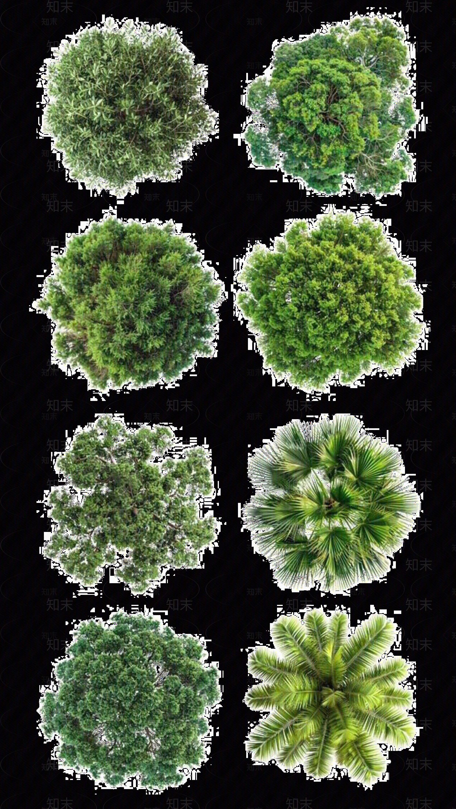 现代新中式其它外景贴图下载【ID:1183999003】