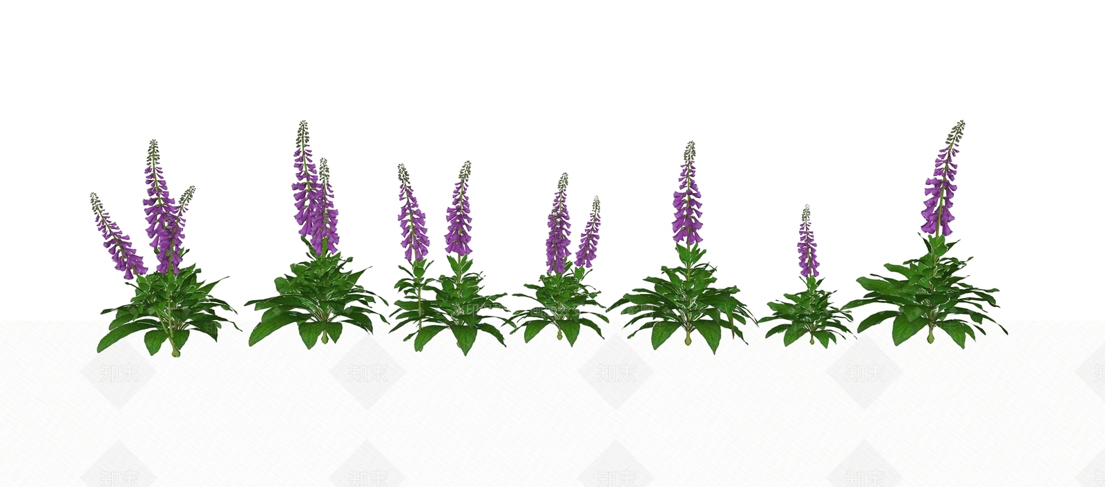 花草SU模型下载【ID:1184079830】