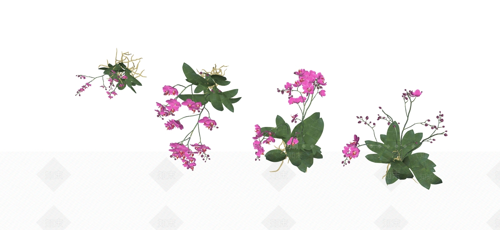 花草SU模型下载【ID:1184092336】