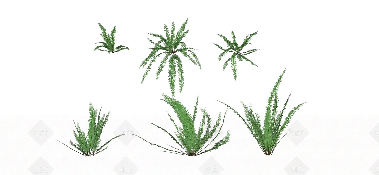 花草SU模型下载【ID:1184094394】
