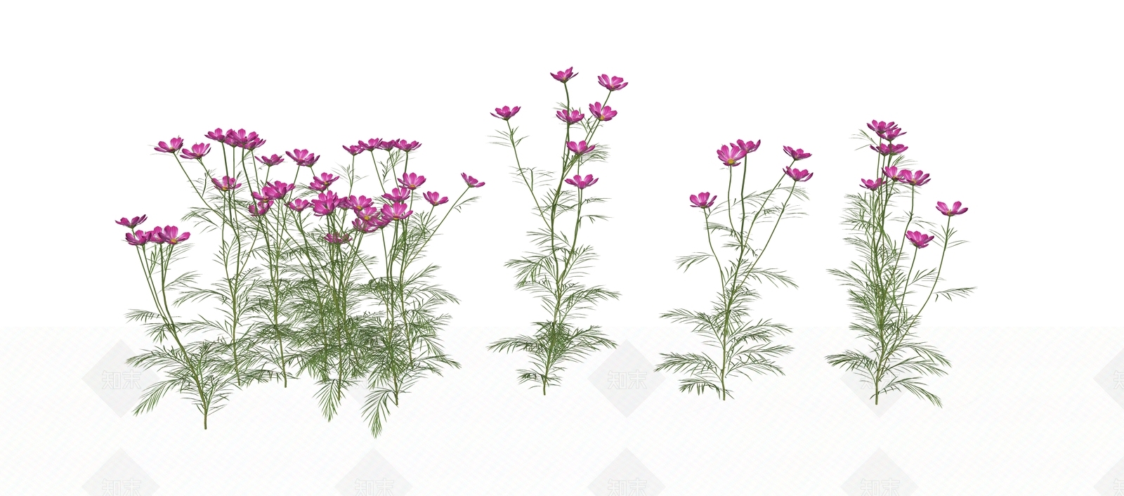 花草SU模型下载【ID:1184095350】